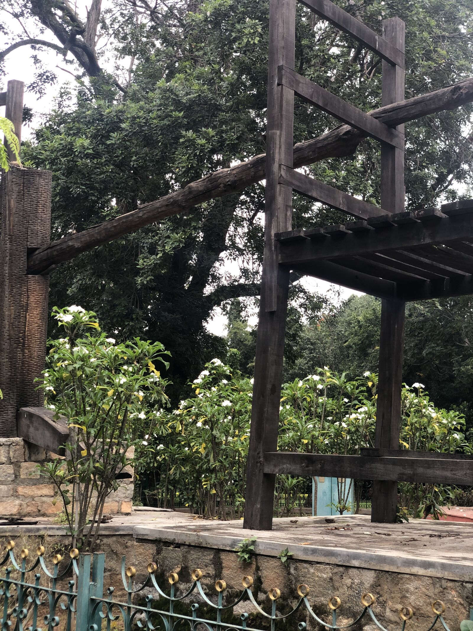 Apple iPhone X sample photo. Garden, forest, park photography