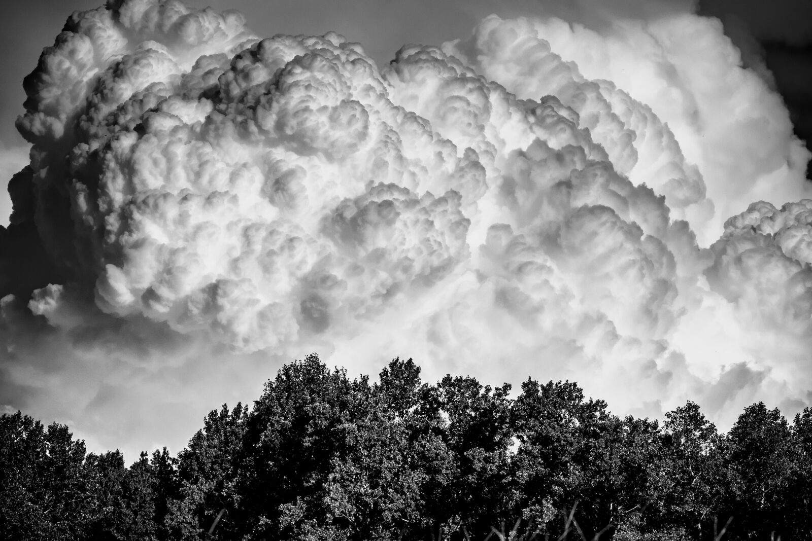 Canon EOS 80D sample photo. Trees, clouds, nature photography