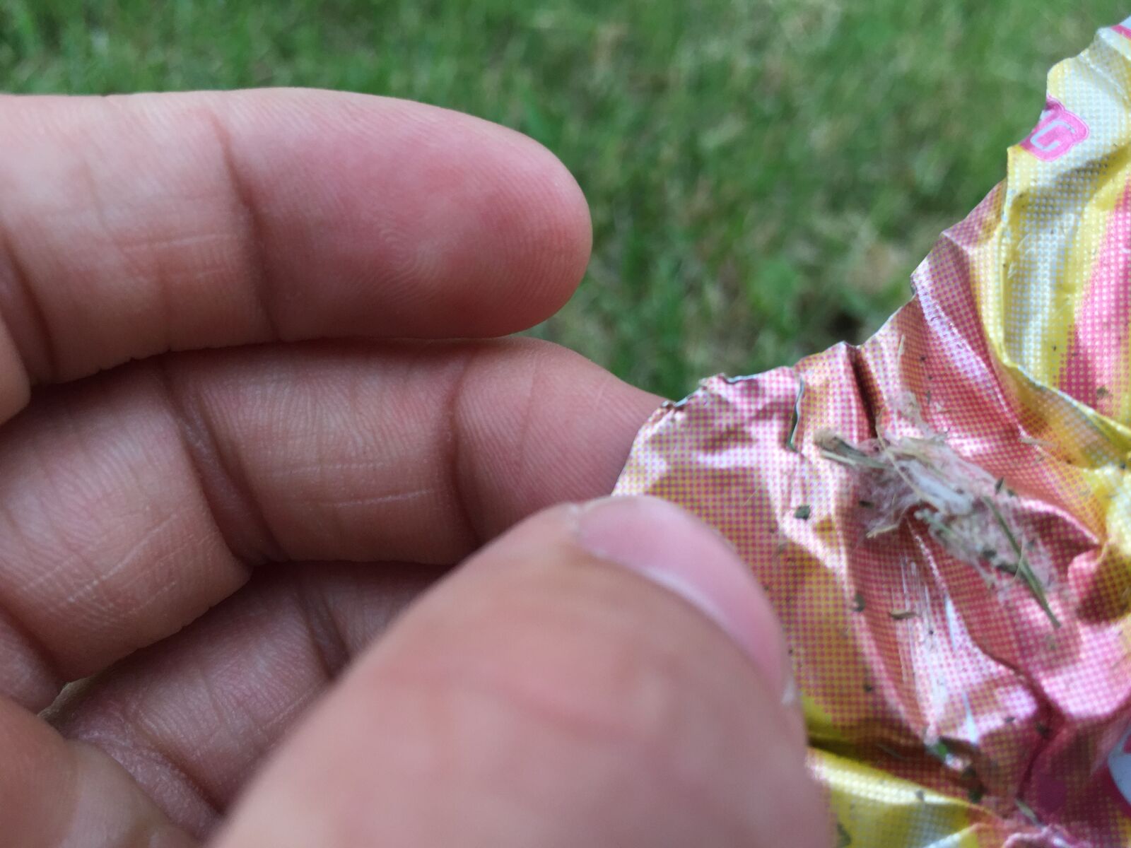 iPhone 6 back camera 4.15mm f/2.2 sample photo. Can, colorful, grass photography