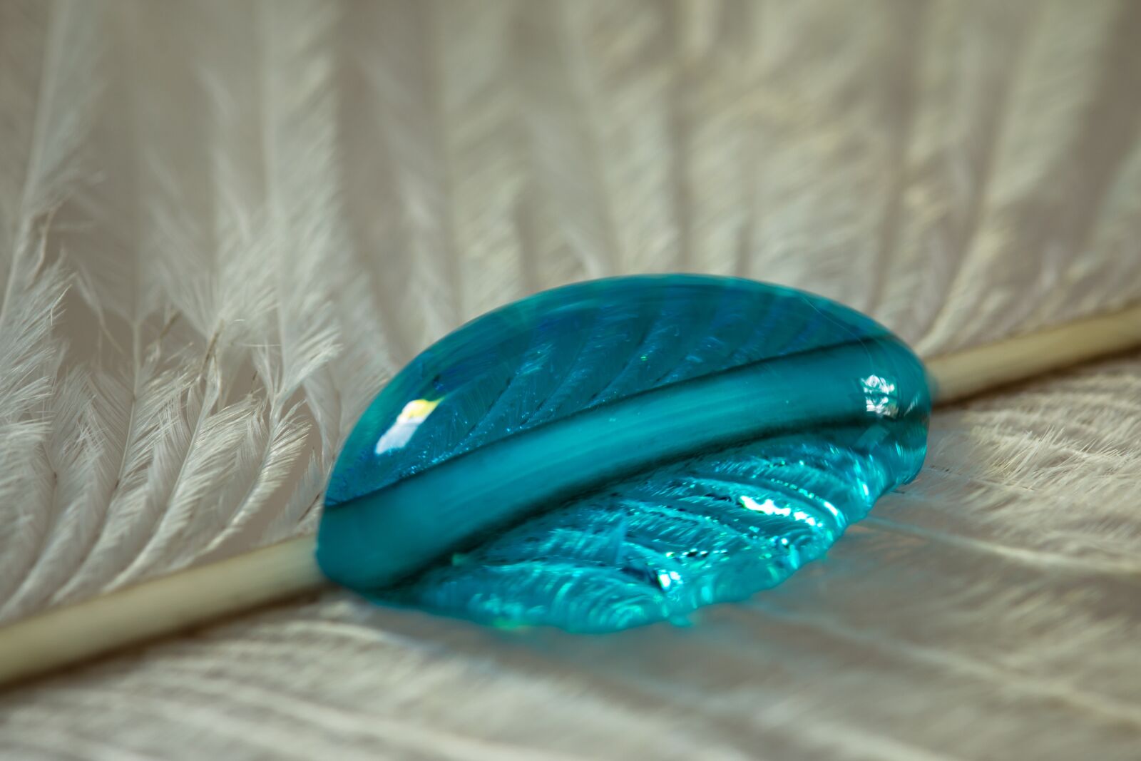Canon EOS 70D sample photo. Ostrich feather, drip, feather photography