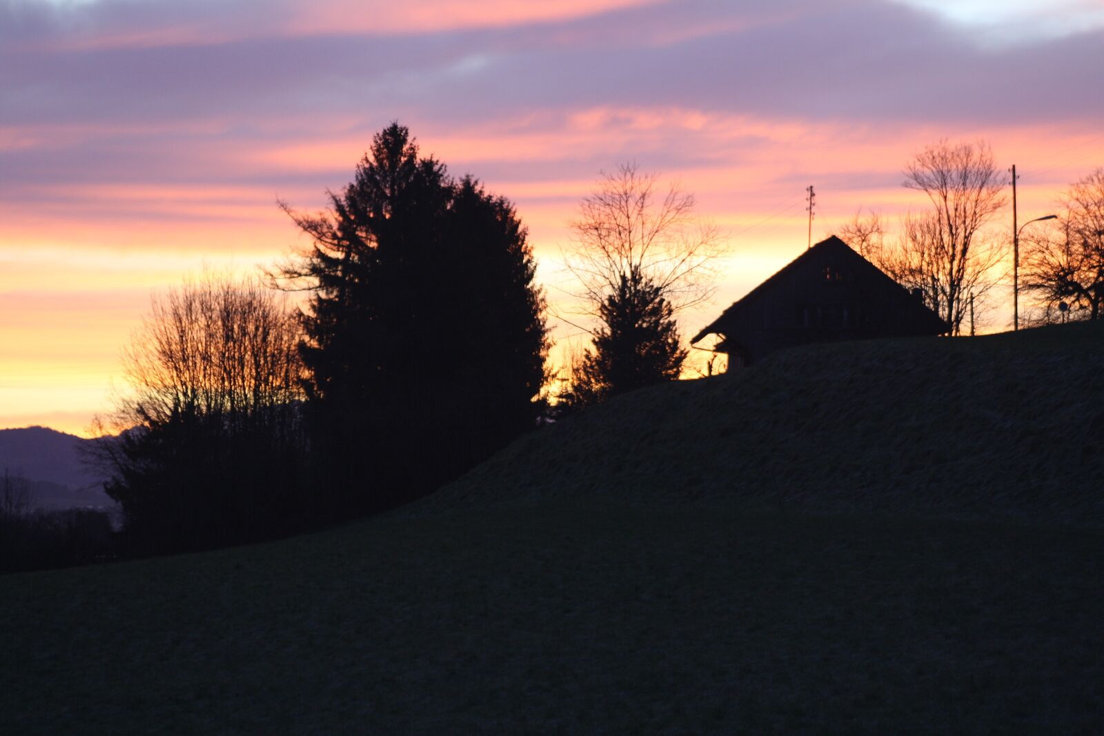 Canon EOS 1000D (EOS Digital Rebel XS / EOS Kiss F) sample photo. Sun, sunrise, meadow photography