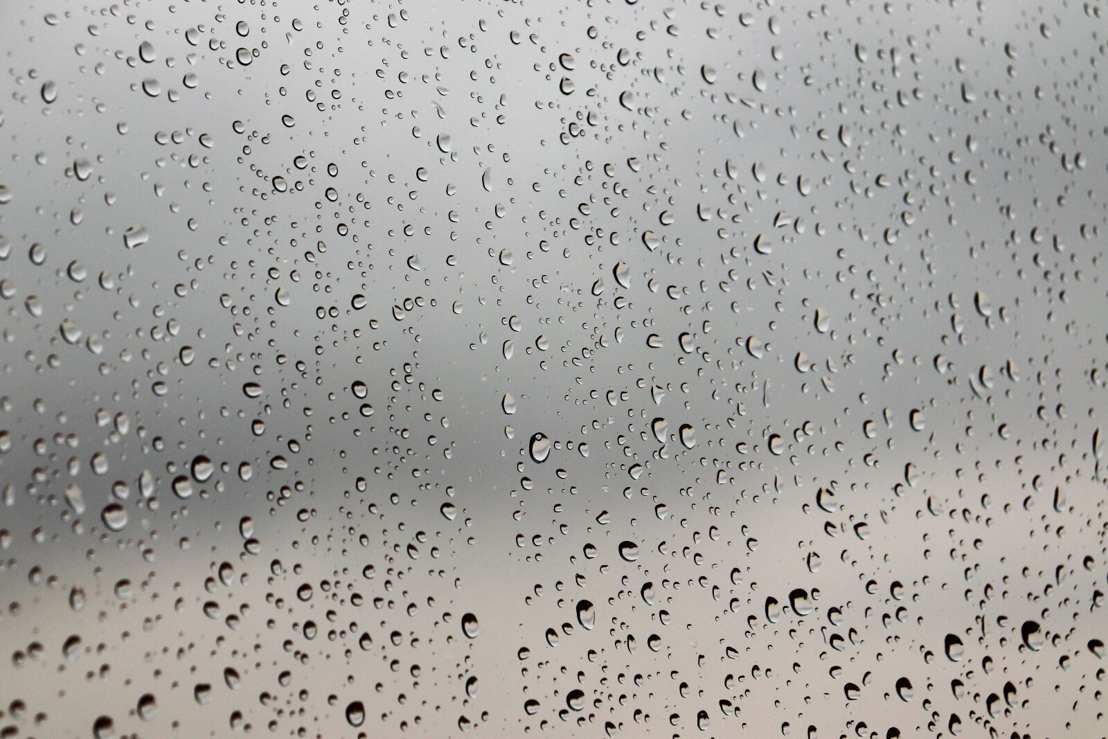 Canon EOS 200D (EOS Rebel SL2 / EOS Kiss X9) sample photo. Rainy day, water drops photography