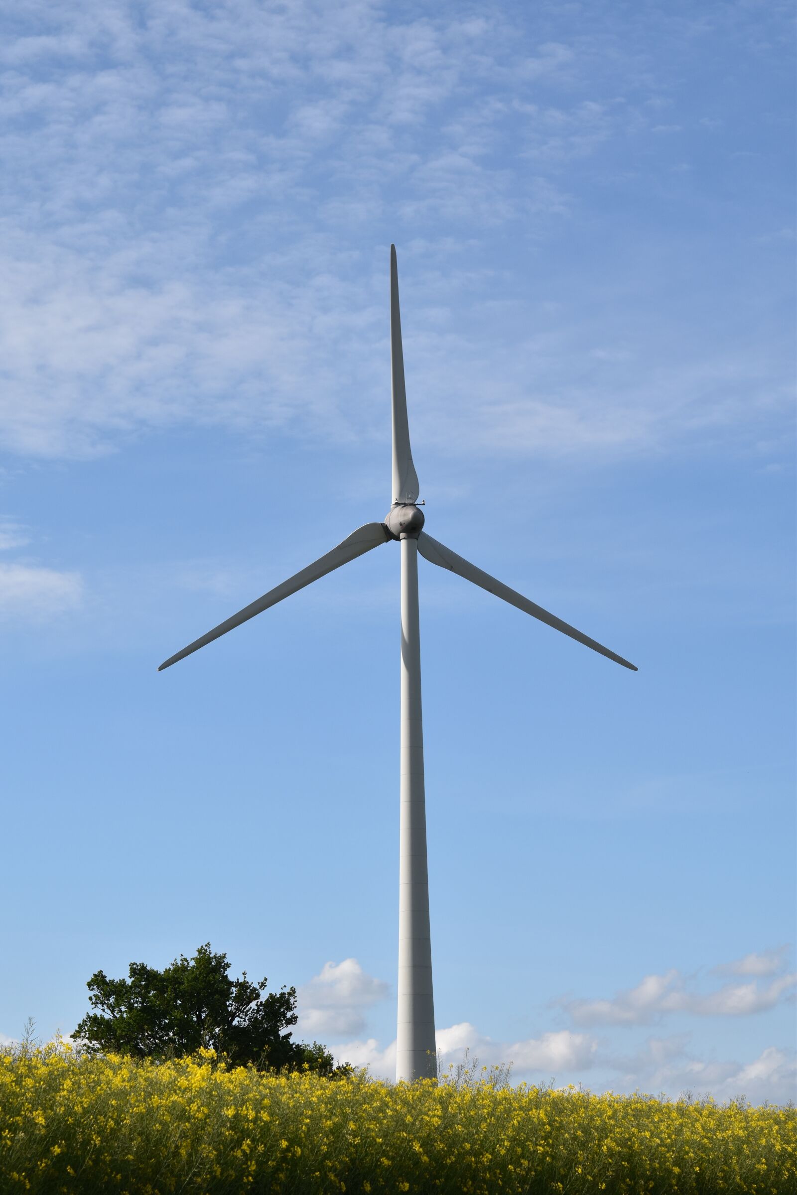 Nikon D5600 sample photo. Wind turbine, renewable energy photography
