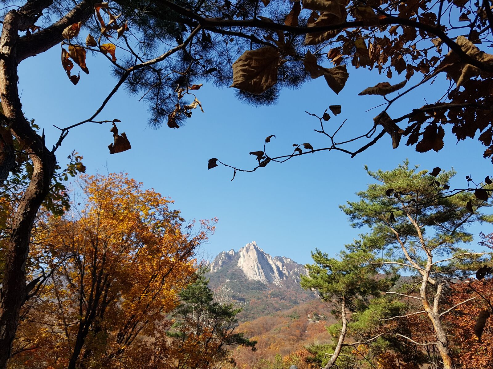 Samsung Galaxy S7 sample photo. Dobong, autumn is also photography