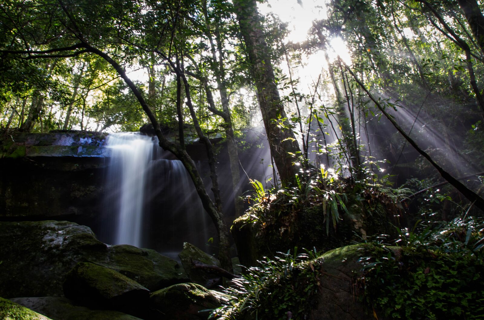 Canon EOS 7D sample photo. Waterfall, tree, thailand photography