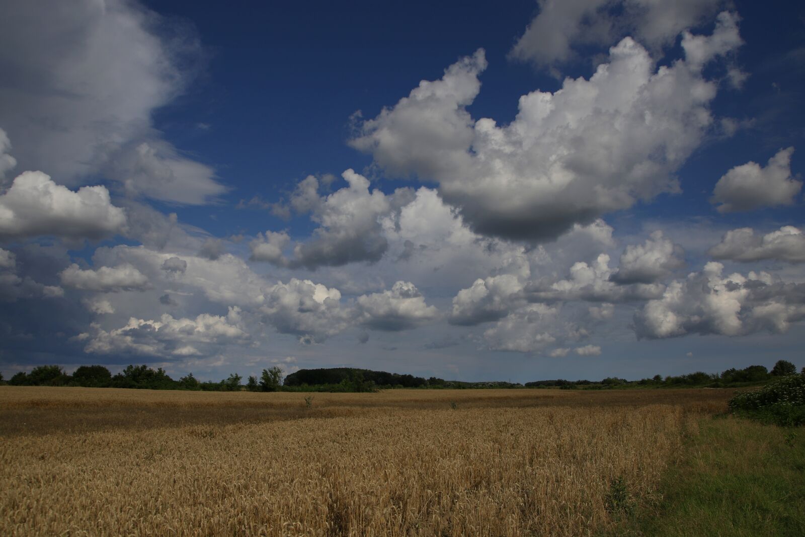 Canon EOS 7D Mark II sample photo. Grau, lan, grain photography