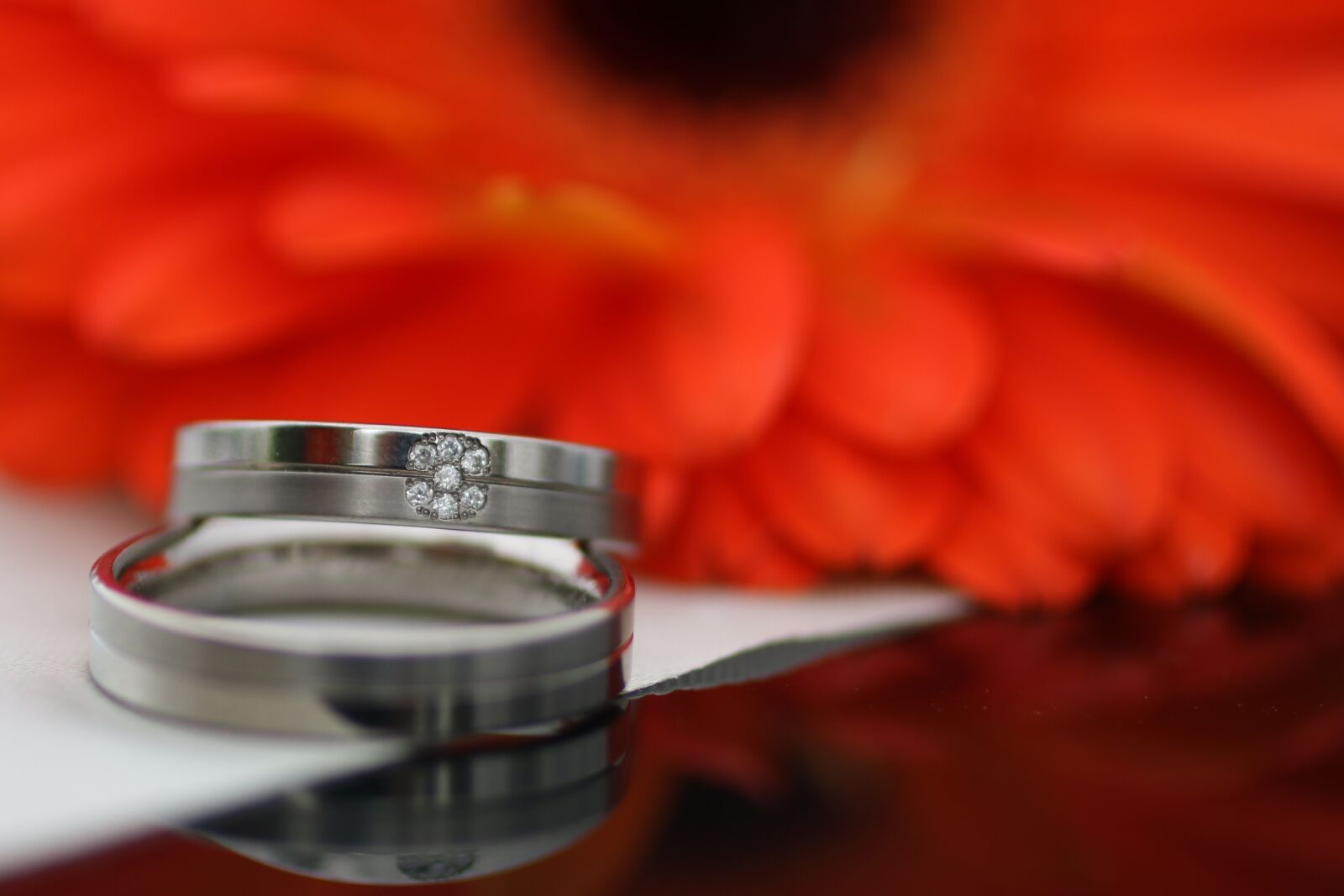 Canon EOS 70D + Canon EF 50mm F2.5 Macro sample photo. Rings, flowers, wedding photography