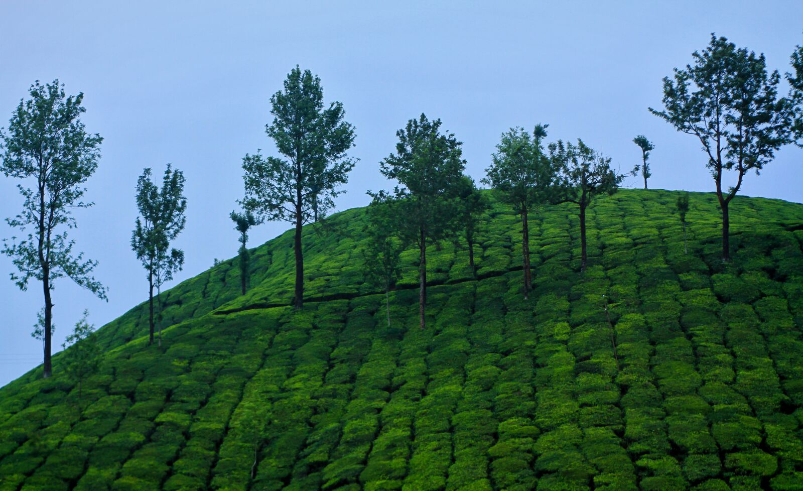 Canon EOS 7D + Canon EF 50mm F1.8 II sample photo. Nature, landscape, travel photography