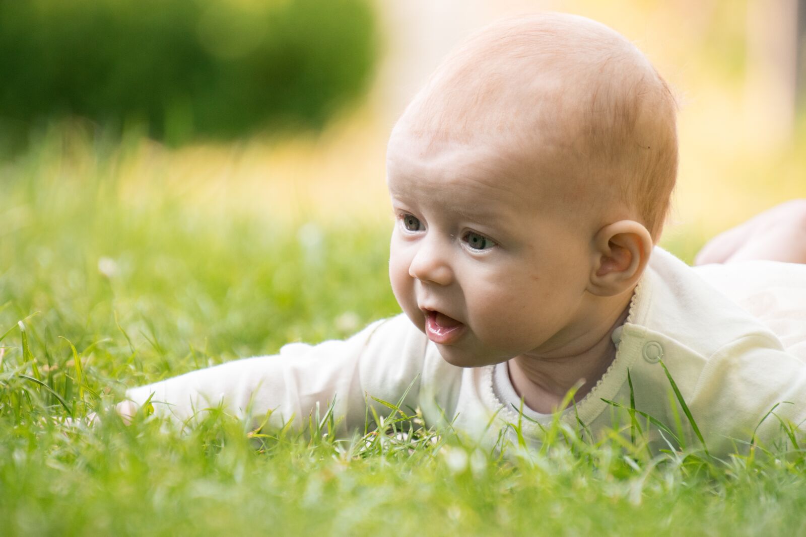 Nikon D3300 sample photo. Child, grass, nature photography