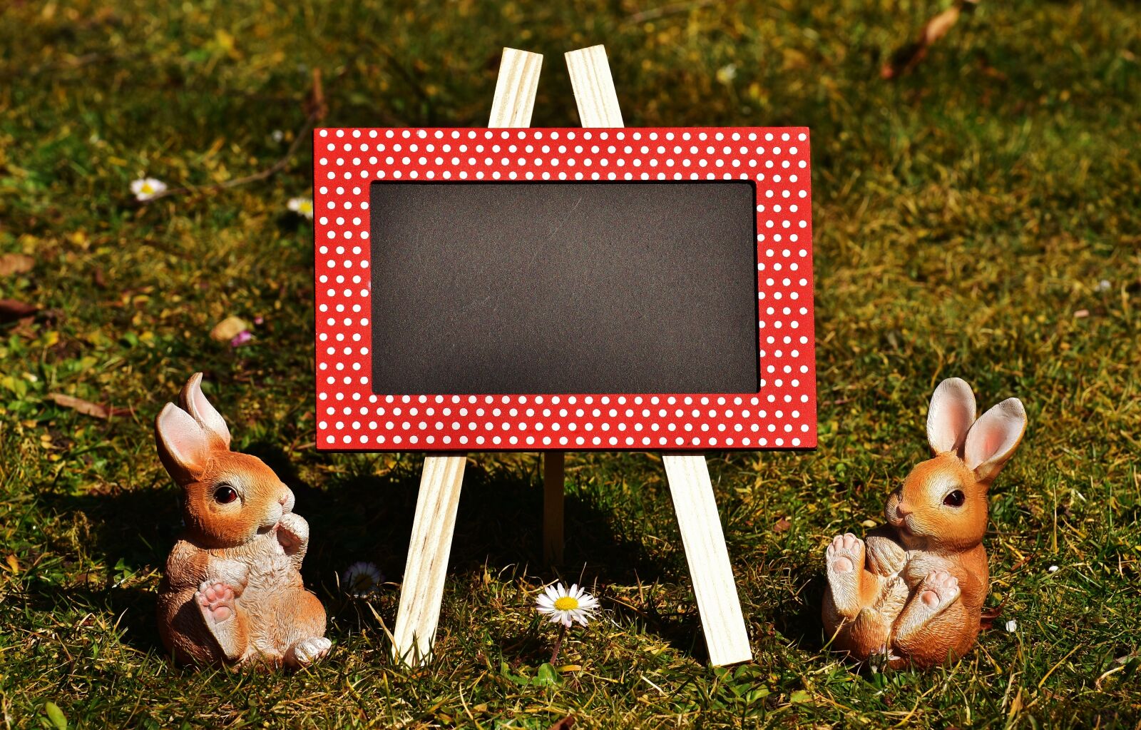 Nikon D7200 sample photo. Easter, easter bunny, spring photography