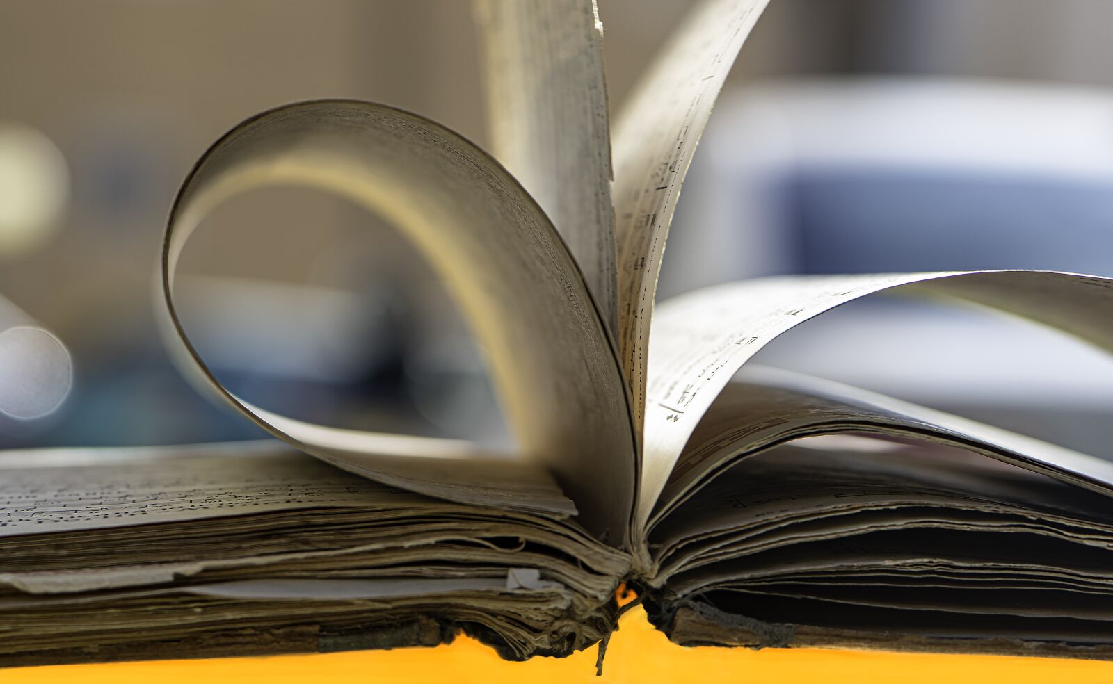 Nikon D5600 sample photo. Book, sheet music book photography