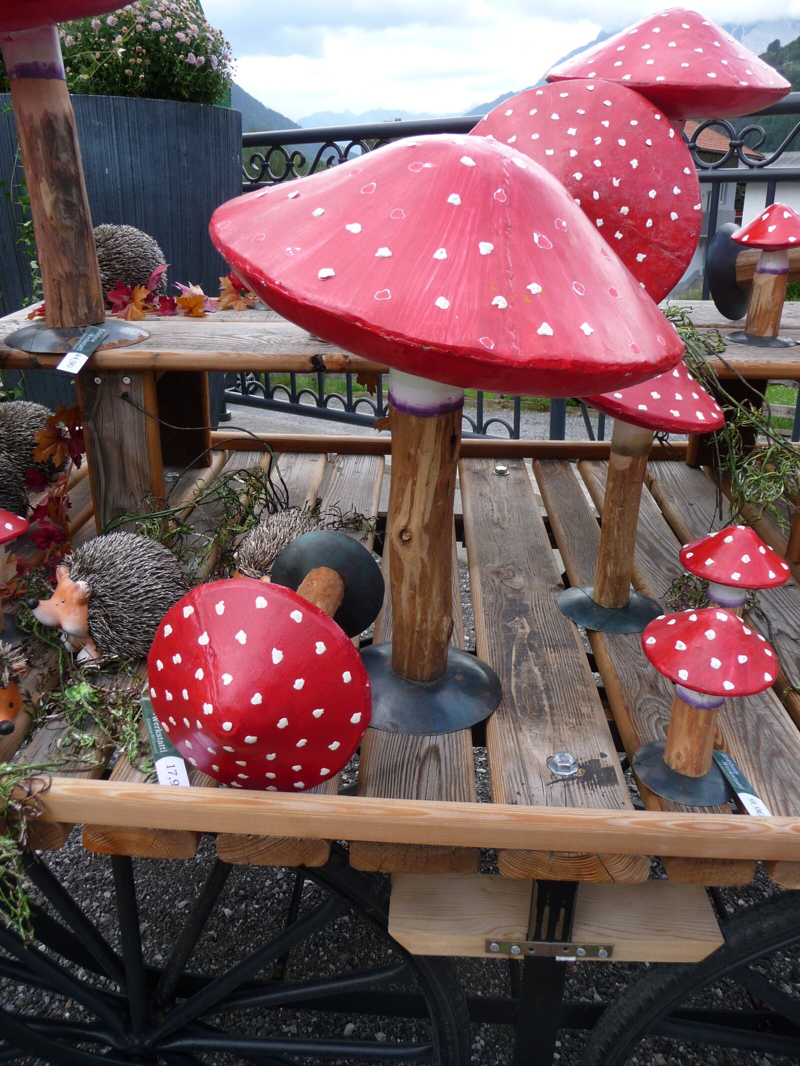 Panasonic Lumix DMC-TZ5 sample photo. Mushroom, wood, autumn photography