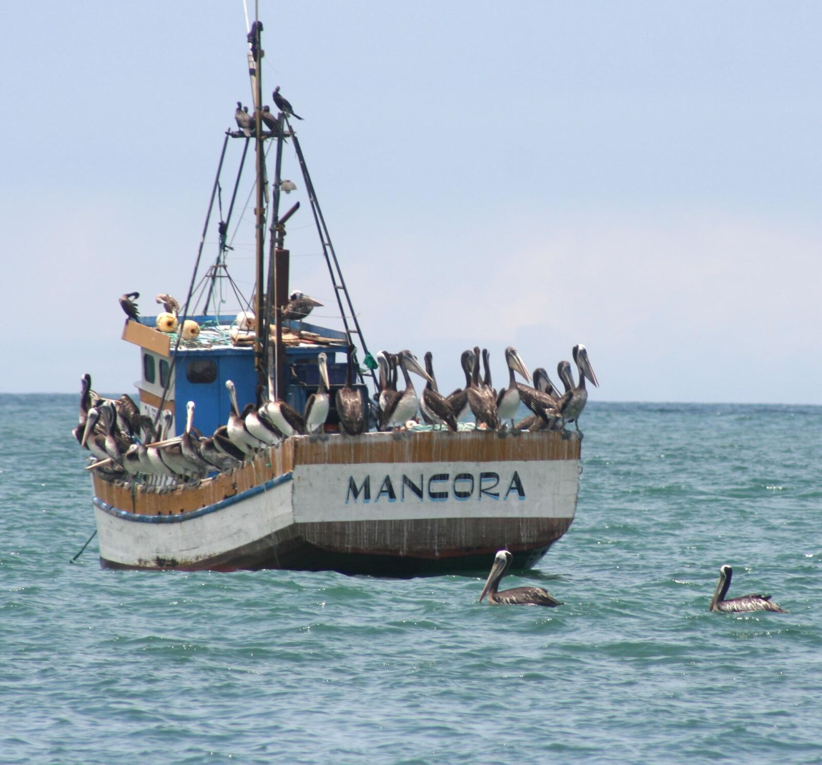 Canon EOS 350D (EOS Digital Rebel XT / EOS Kiss Digital N) sample photo. Mancora, boat, seagull photography
