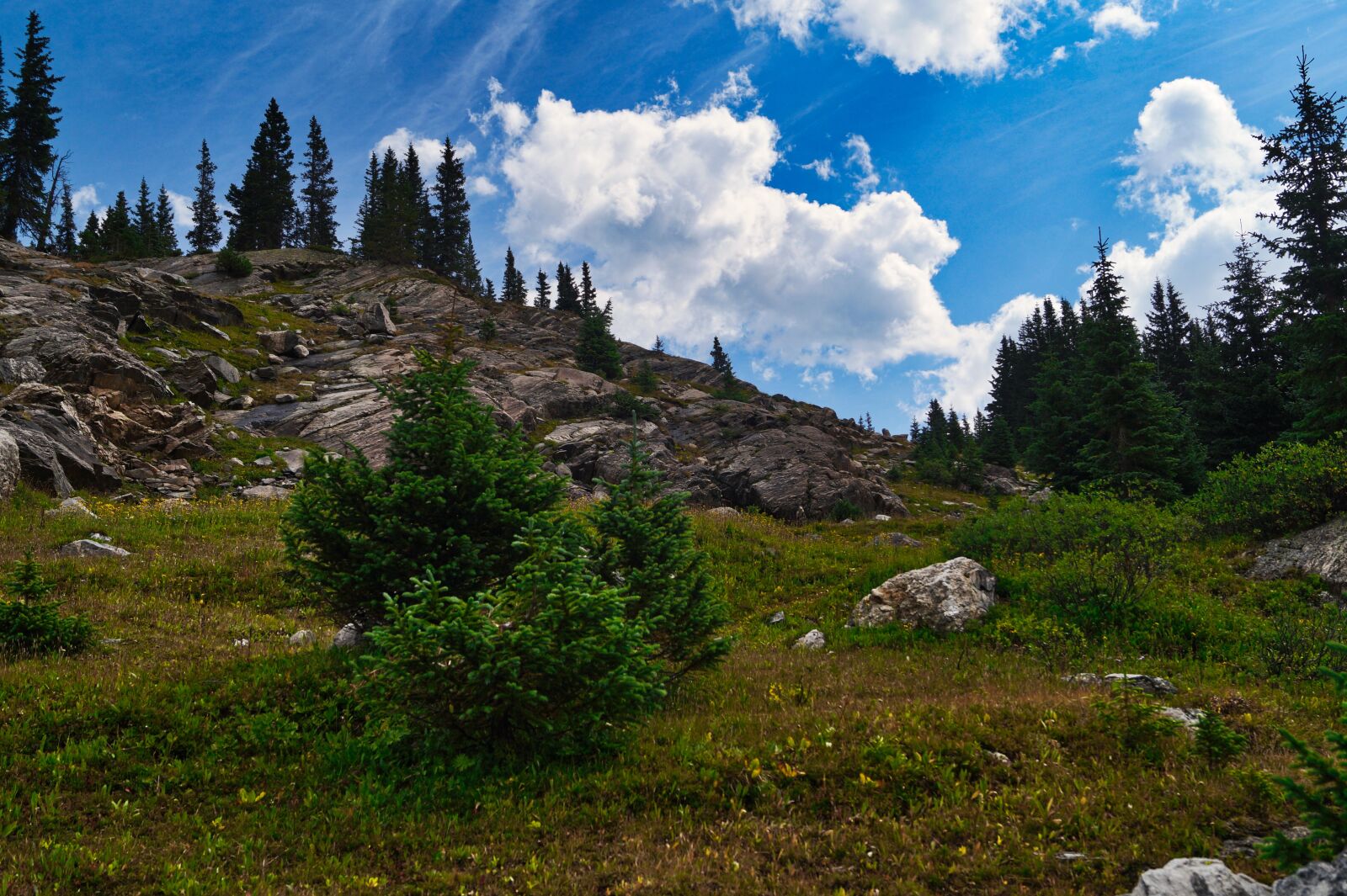 Sony DT 18-55mm F3.5-5.6 SAM II sample photo. Missouri lake trail, missouri photography