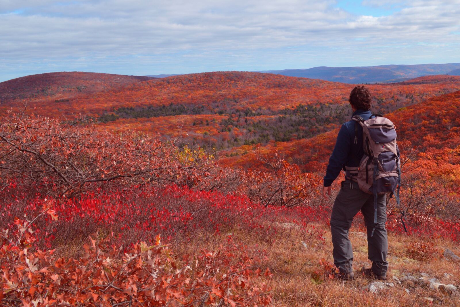 Nikon D3200 sample photo. New york, fall, traveler photography