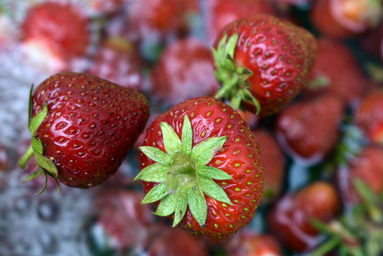 Nikon D3400 sample photo. Strawberries, eating, strawberry photography