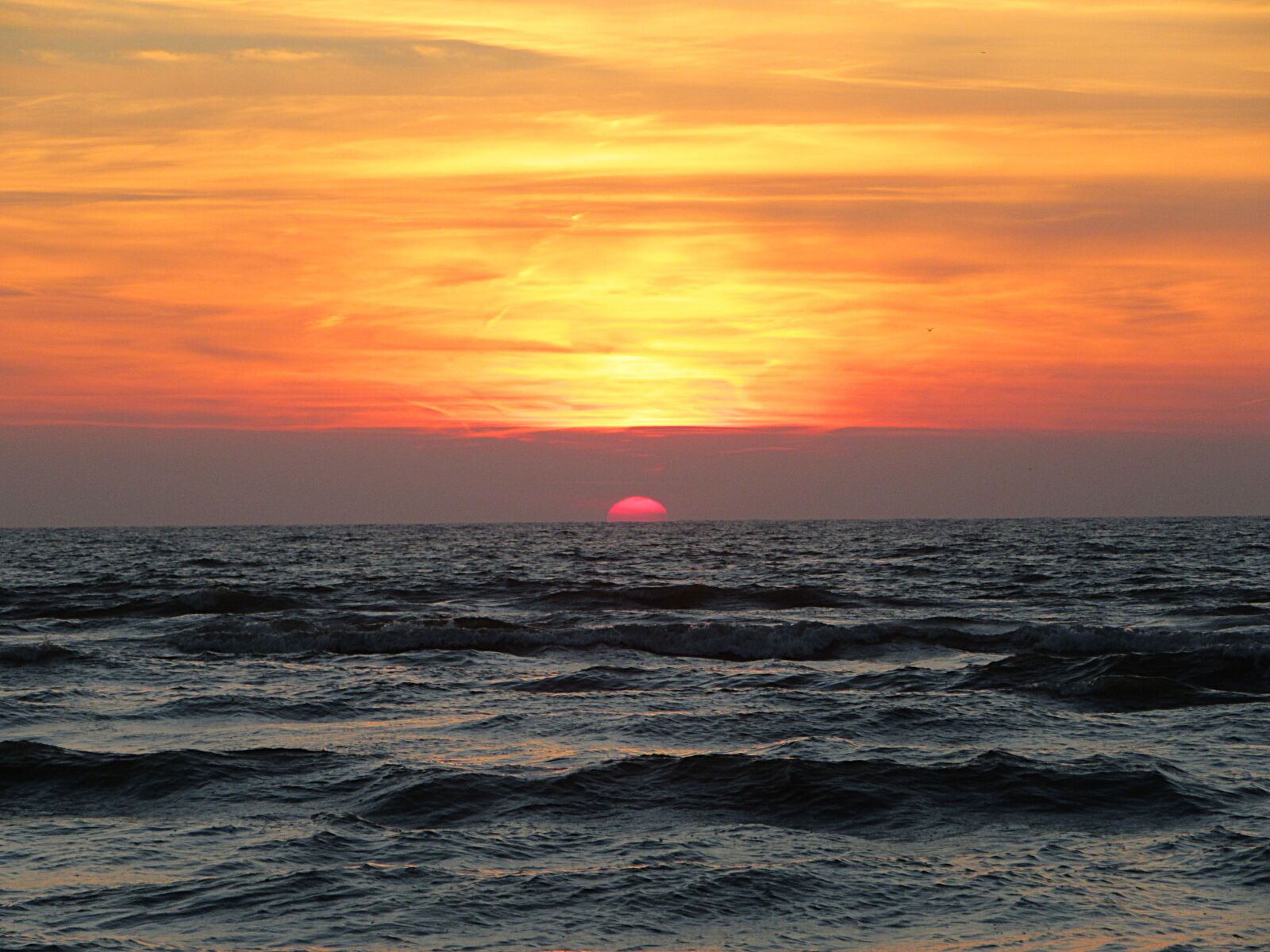 Canon PowerShot SX610 HS sample photo. Sunset, sea, colorful sunset photography