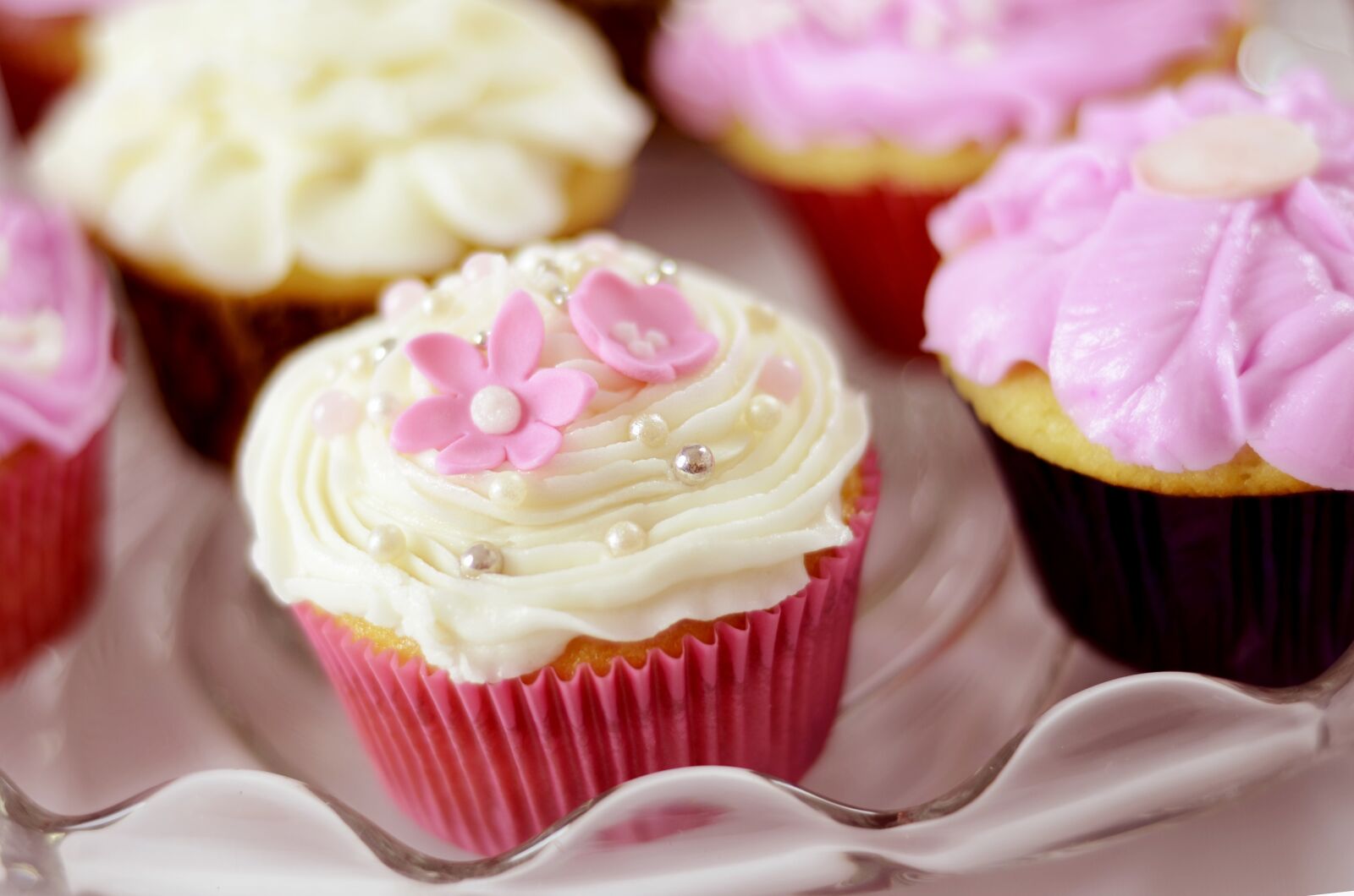 Nikon D5100 sample photo. Cup cakes, treats, bakery photography