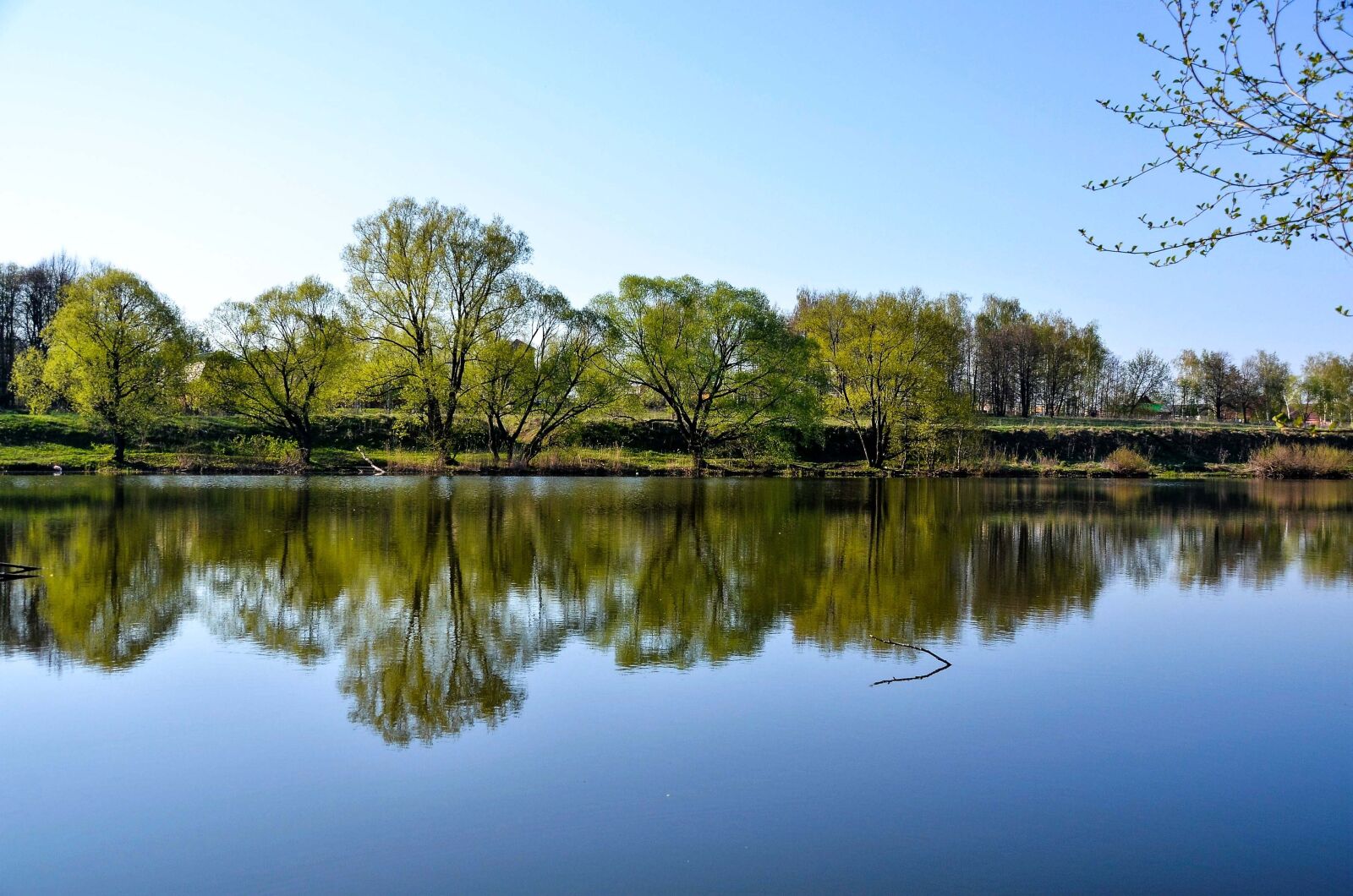 Nikon D7000 sample photo. River, nature, landscape photography