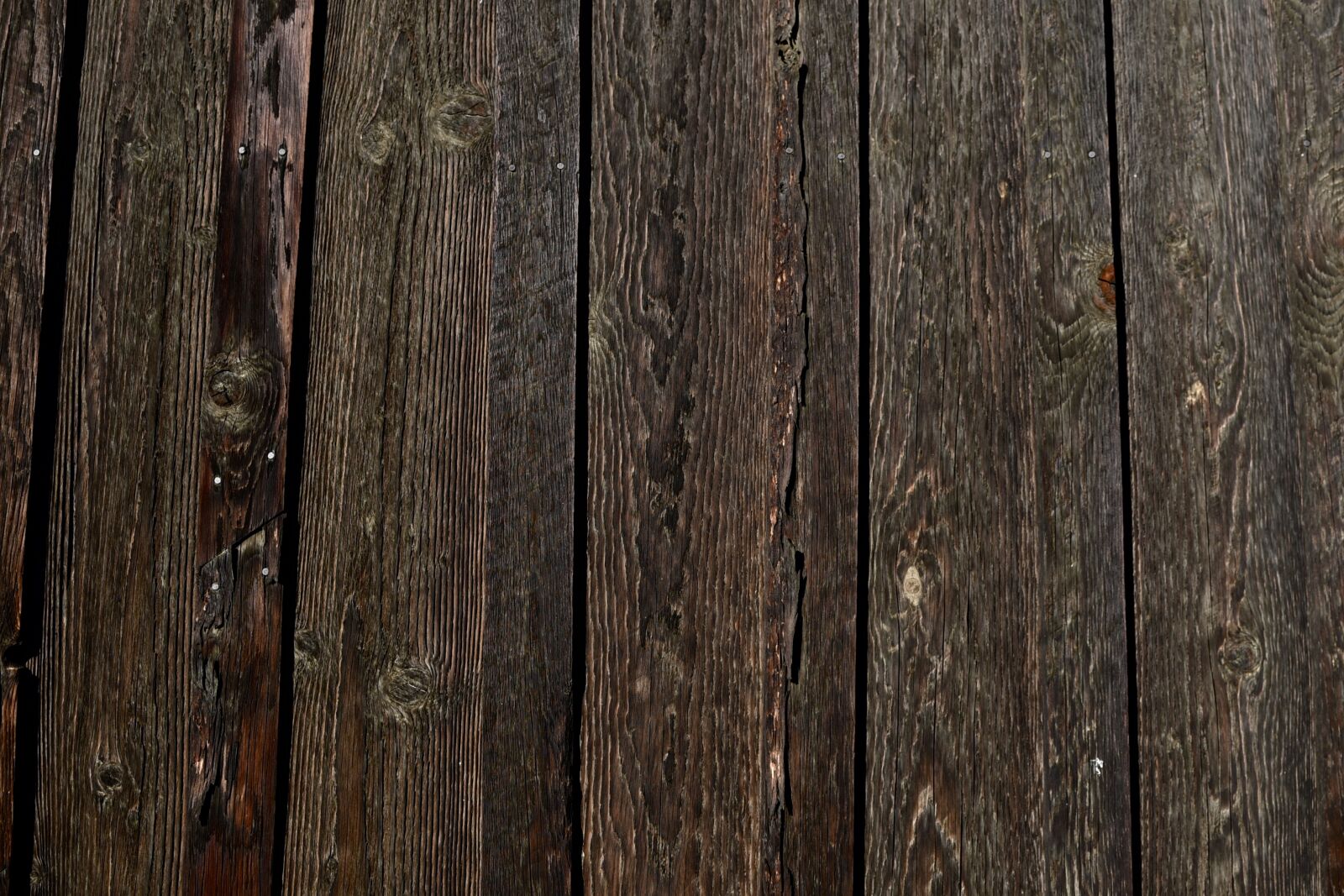 Nikon D750 sample photo. Background, wood photography