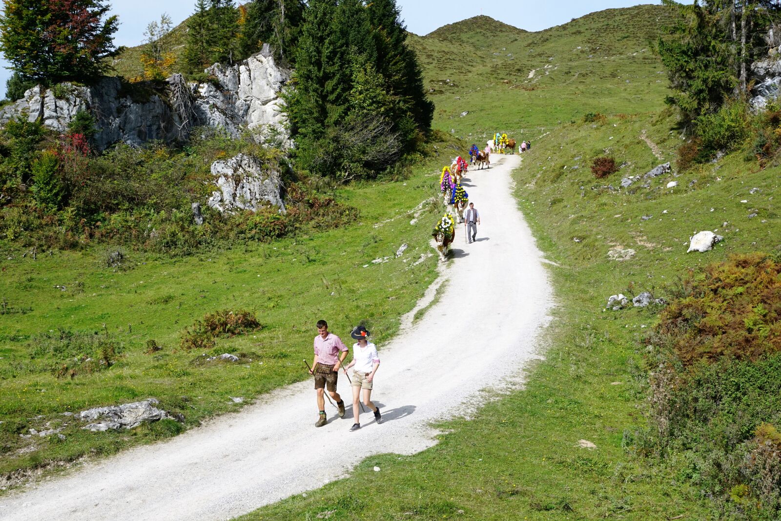 Sony ILCA-77M2 + Sony DT 16-50mm F2.8 SSM sample photo. Alm, austria, wilder photography
