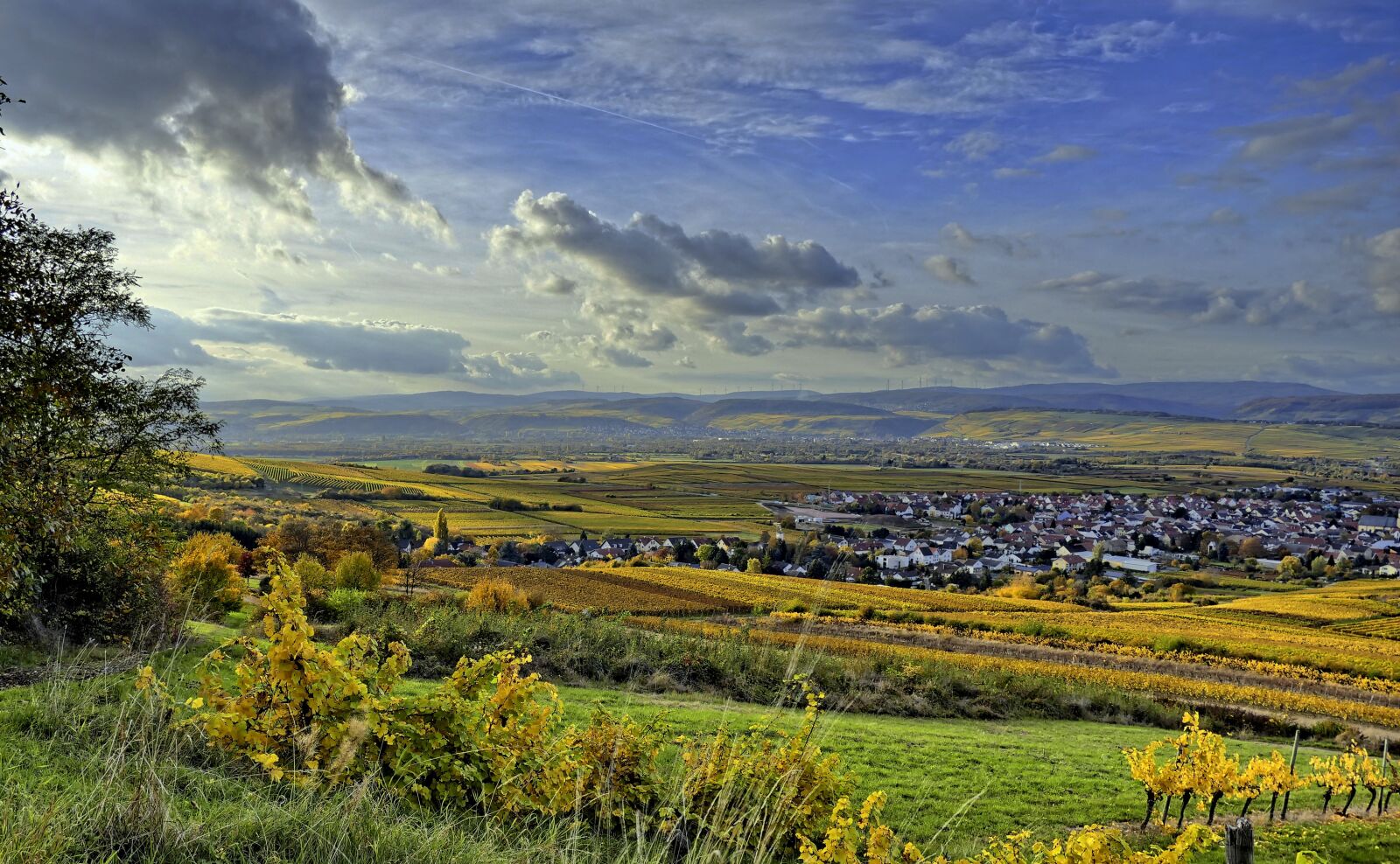 Panasonic Lumix DMC-FZ1000 sample photo. Valley view, autumn, vineyards photography