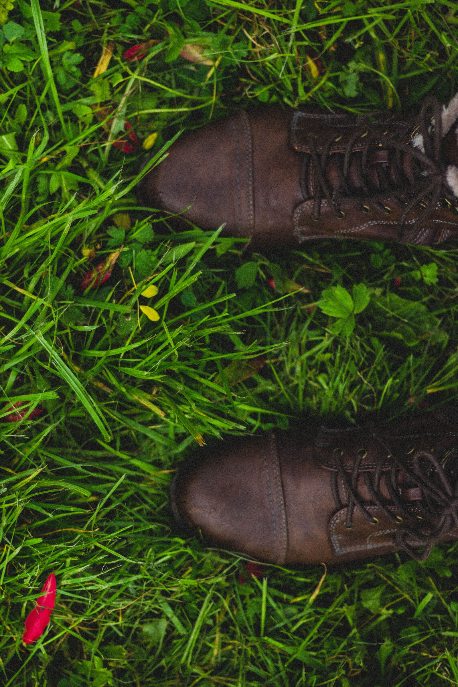 Canon EOS 600D (Rebel EOS T3i / EOS Kiss X5) + Canon EF 50mm F1.8 II sample photo. Daylight, feet, footwear, grass photography