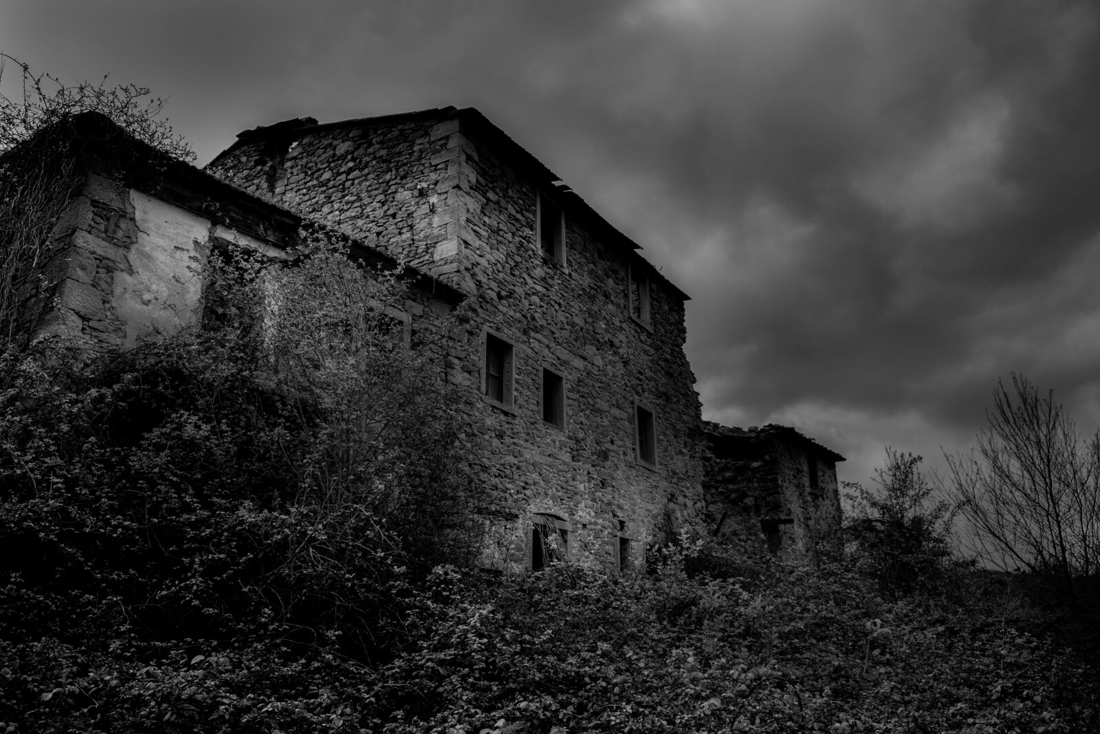 Nikon D3500 sample photo. Darkhouse, dark, darkness photography