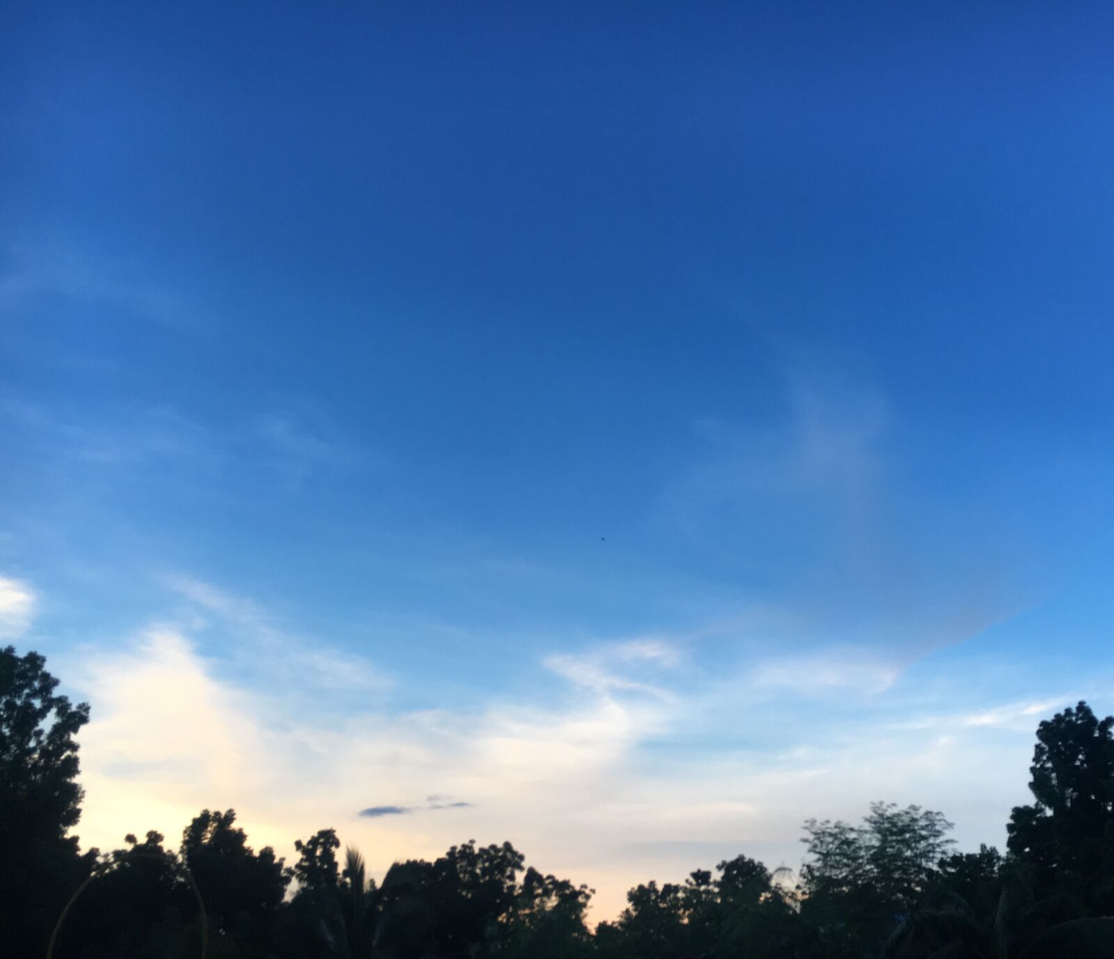 Apple iPhone 6s sample photo