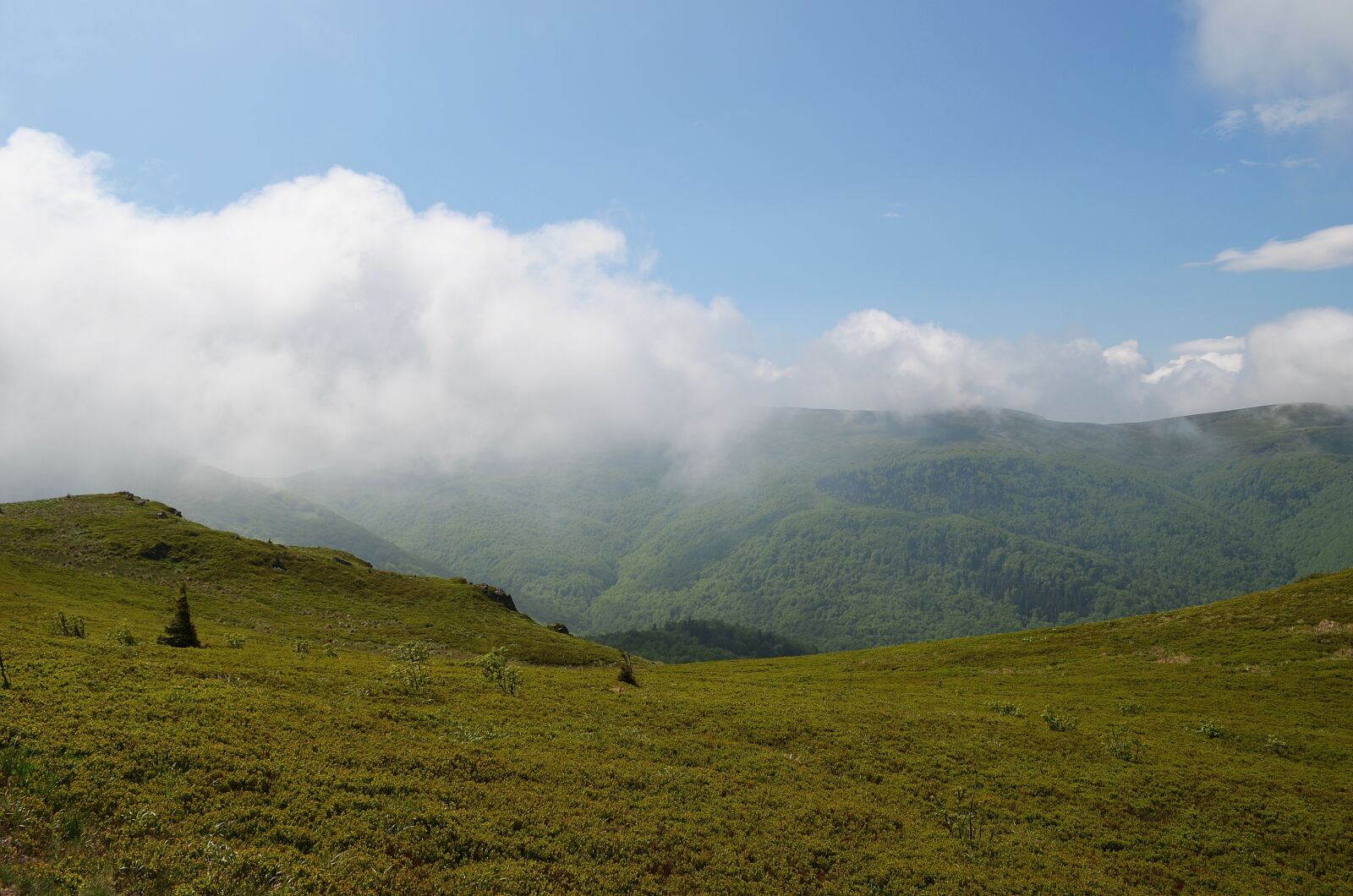 Nikon D5100 sample photo. Mountains, landscape, bieszczady photography