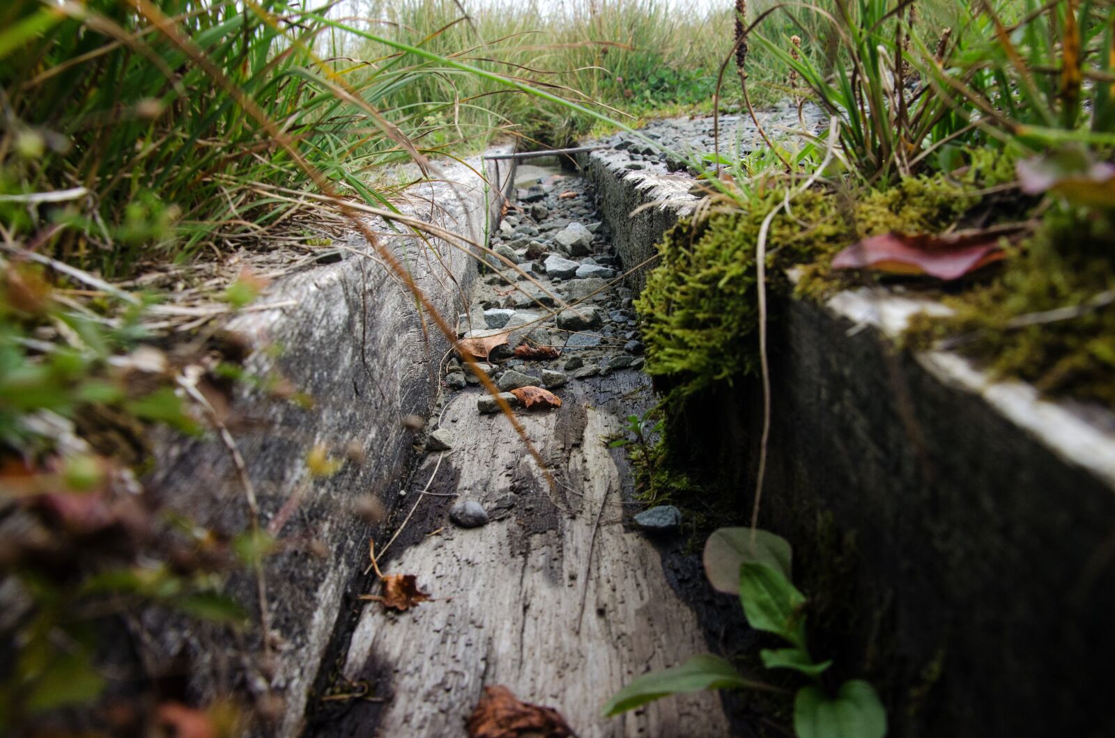 Nikon D5100 sample photo. Gutter, wood, water photography