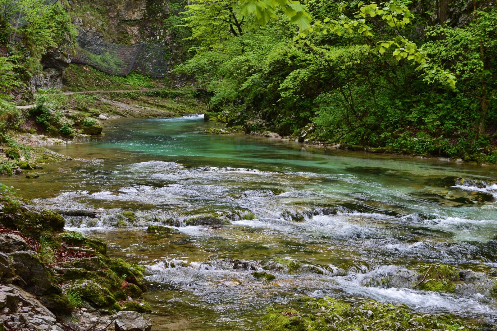 Nikon D3200 sample photo. Slovenia, gorge, vintgar photography