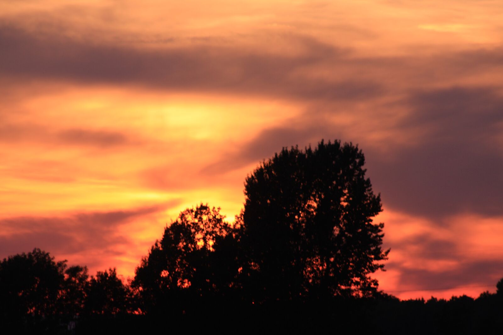 Canon EOS 40D sample photo. Evening, sunset, sun photography