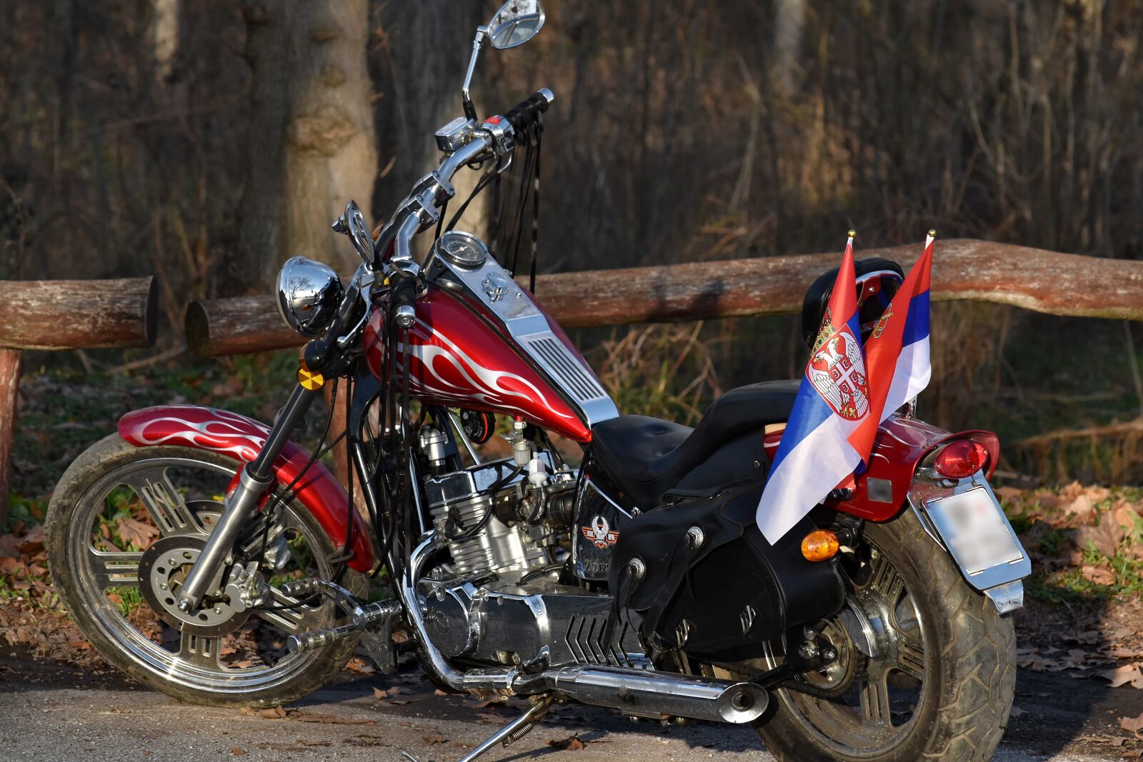 Nikon D5500 sample photo. Engine, famous, forest road photography