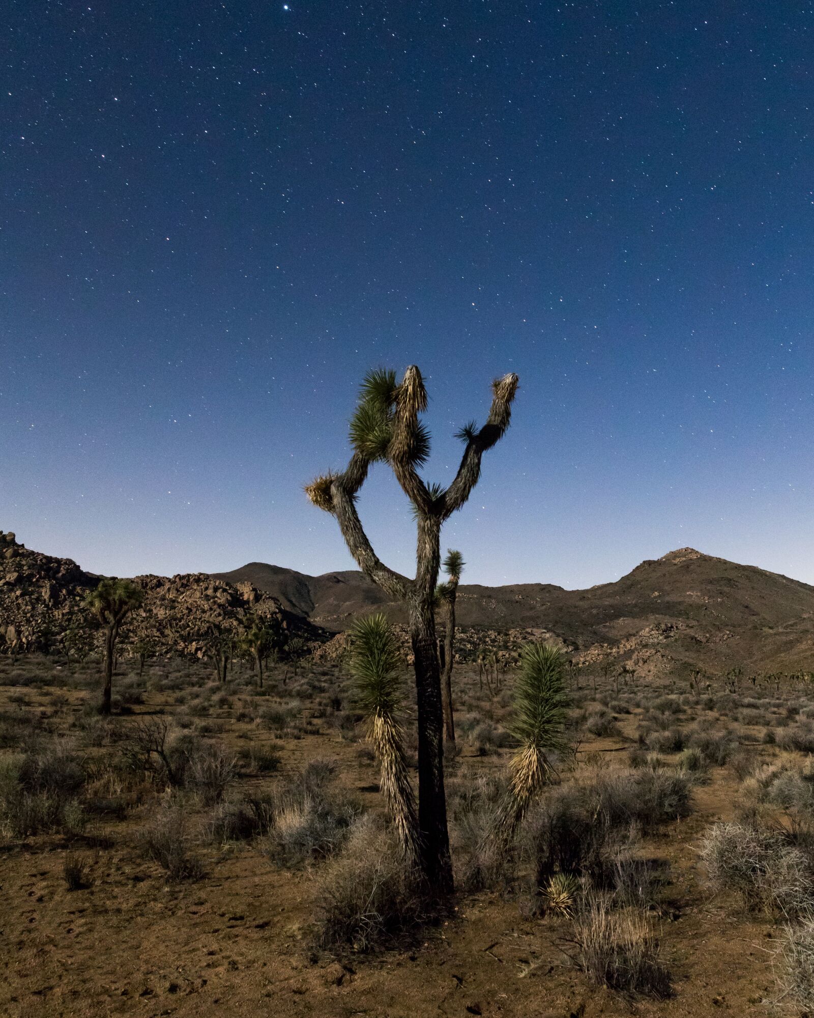 Canon EOS 5D Mark IV sample photo. Desert, mountains, view photography