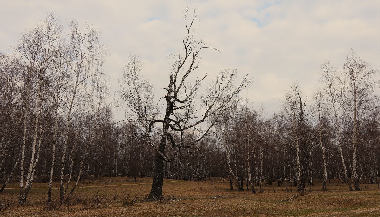 Canon EOS M50 (EOS Kiss M) sample photo