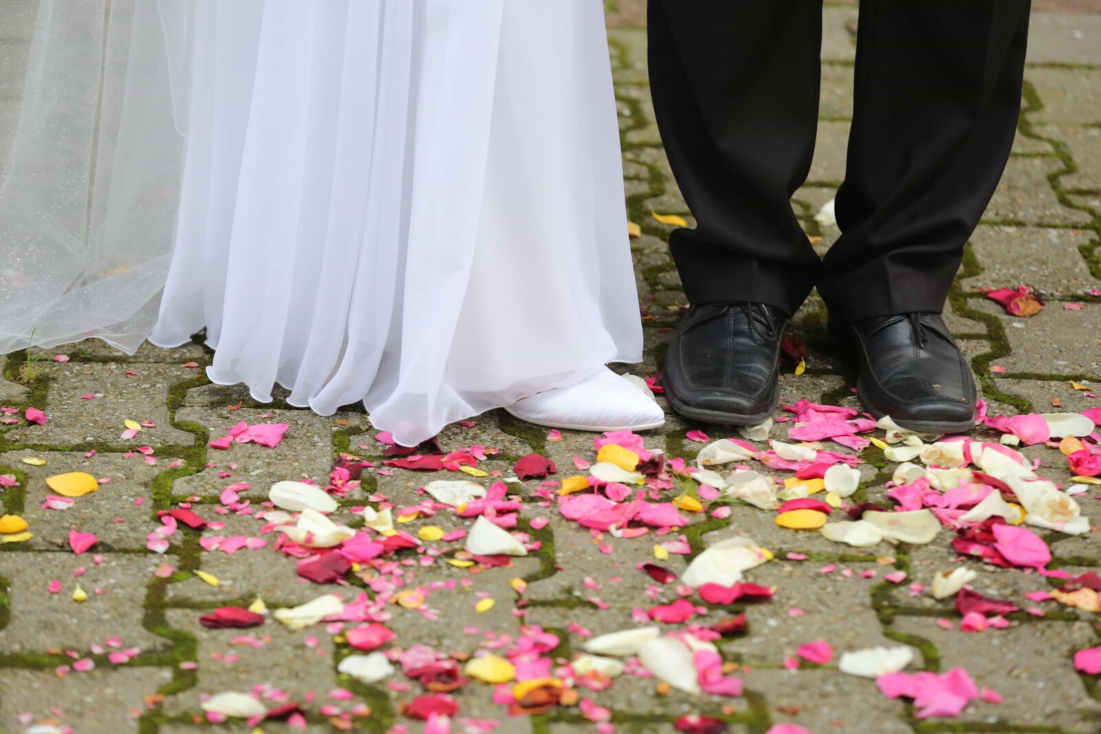 Canon EOS 5D Mark III sample photo. Ceremony, pants, pavement, petals photography