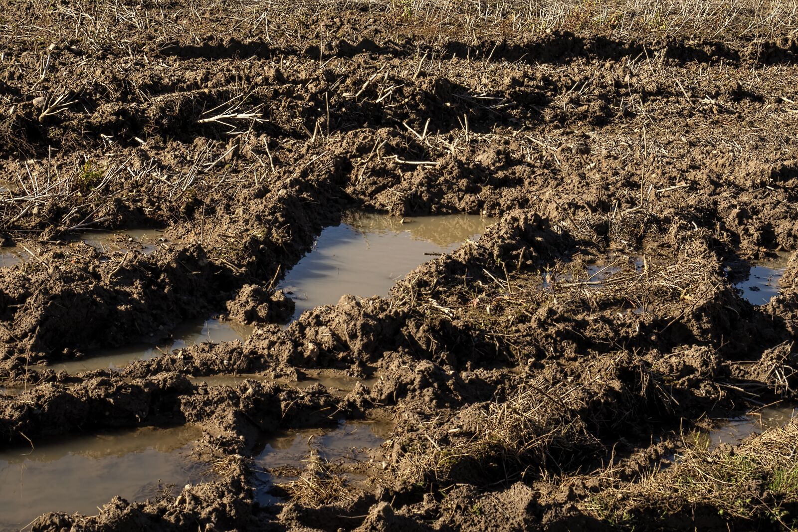 Olympus OM-D E-M5 II + Olympus M.Zuiko Digital ED 12-40mm F2.8 Pro sample photo. Arable, arable land, wet photography