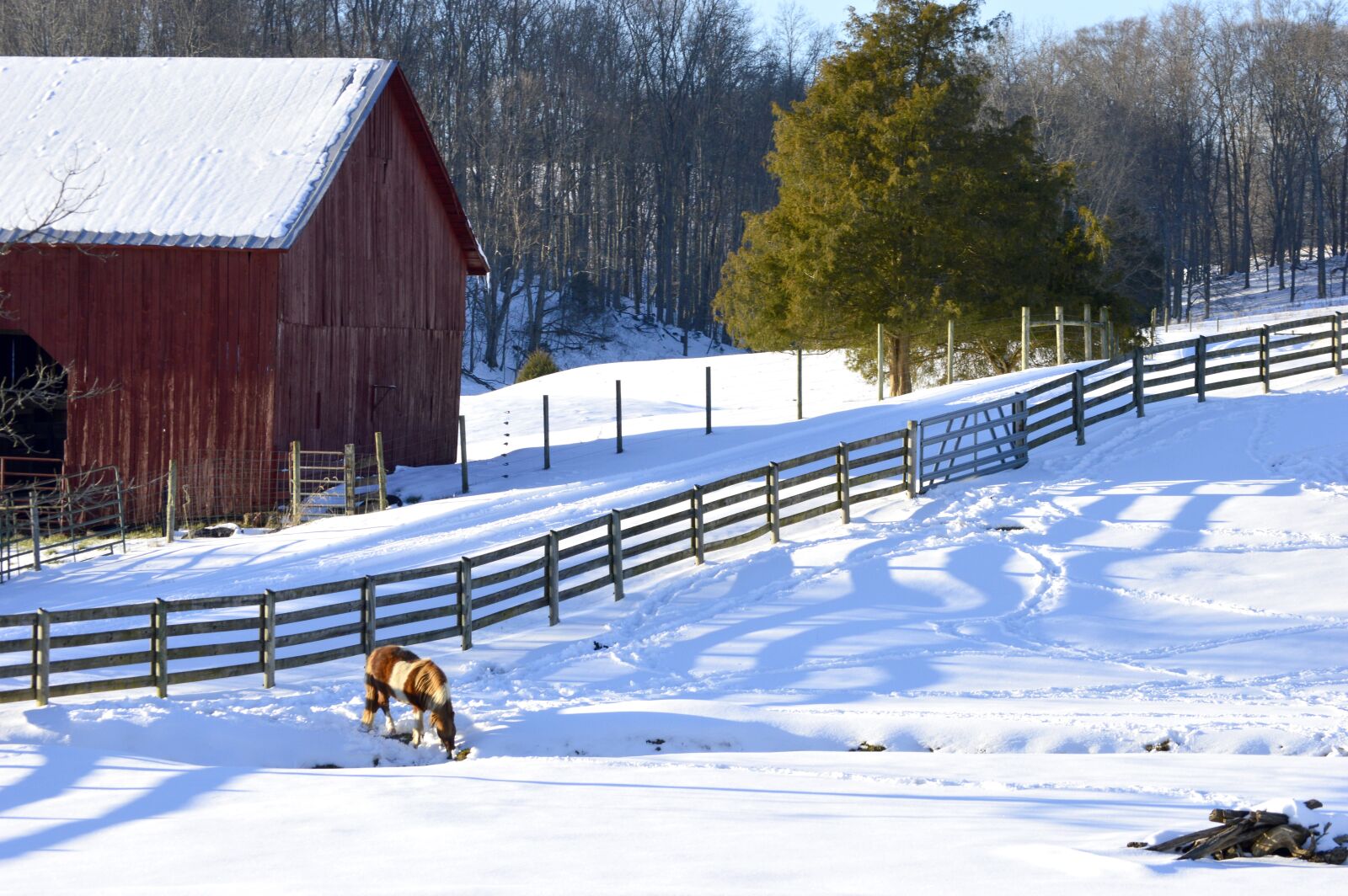 Nikon D3200 sample photo. Farm, barn wood, red photography