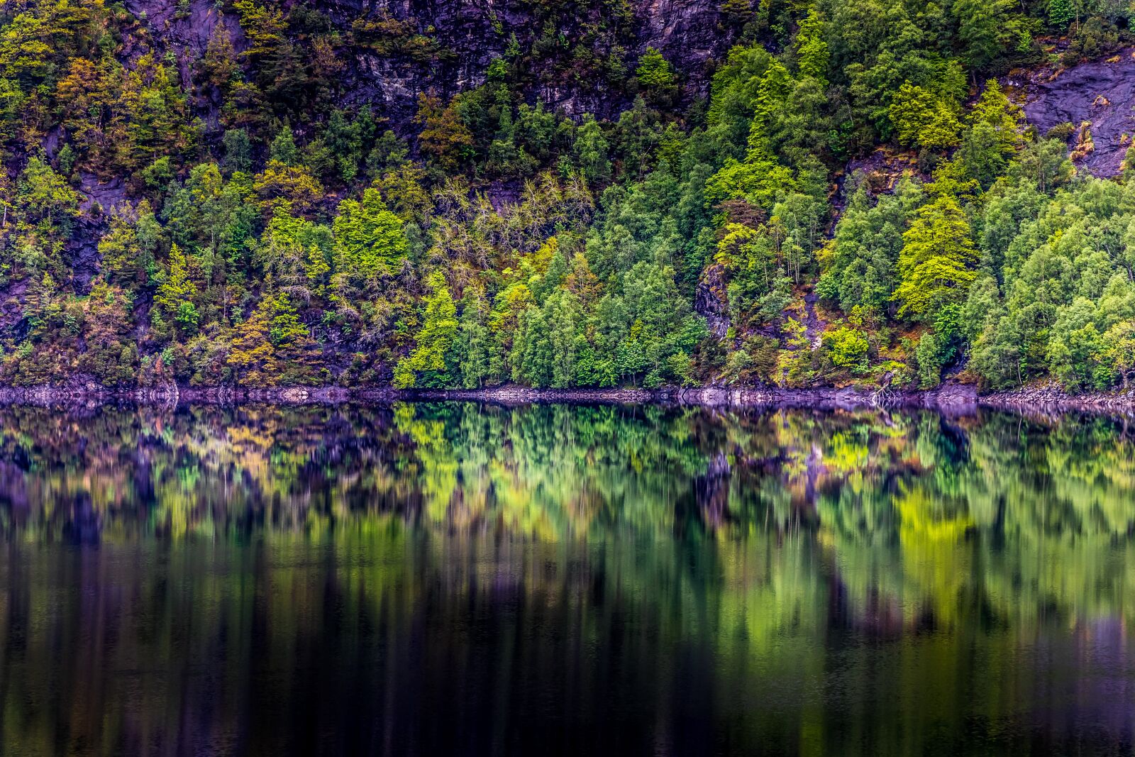 Canon EF-S 18-135mm F3.5-5.6 IS USM sample photo. Norway, forest, lake photography