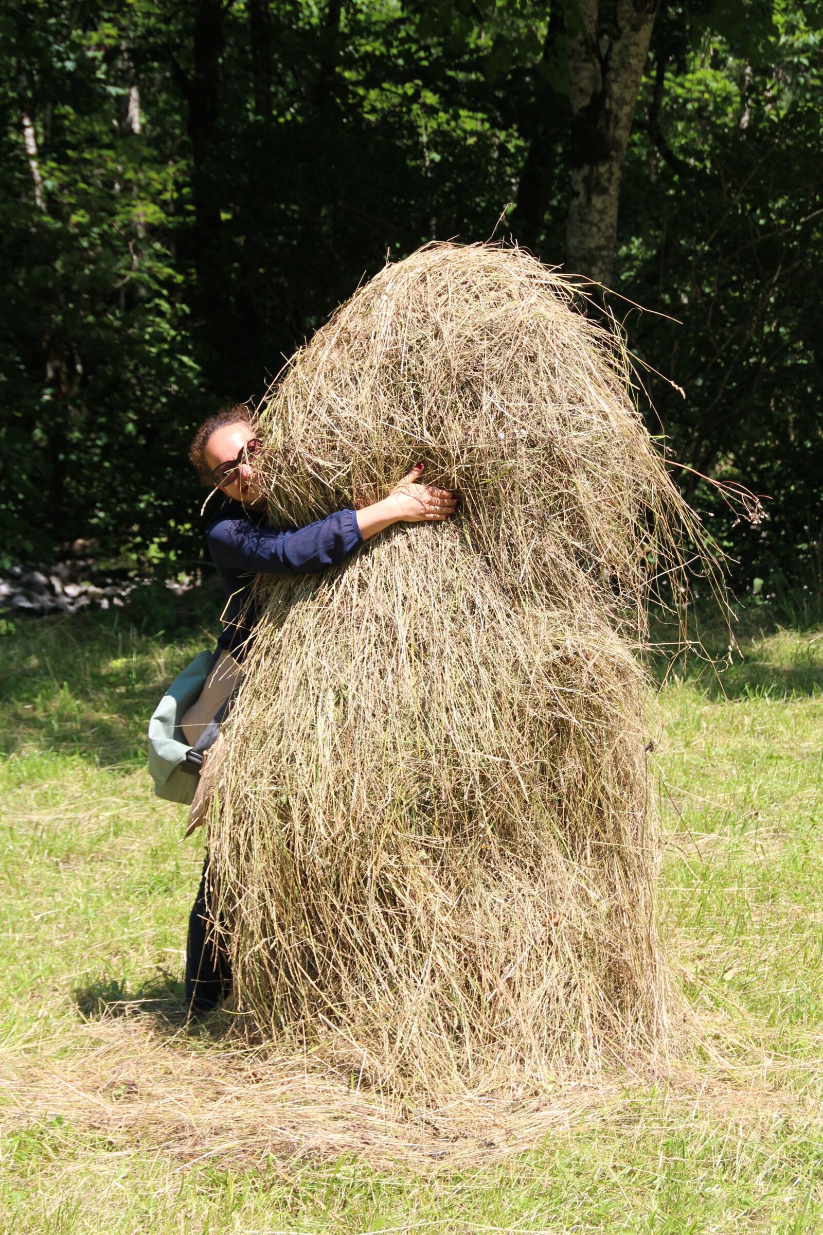 Canon EOS 600D (Rebel EOS T3i / EOS Kiss X5) sample photo. Haystack, hide, hay photography