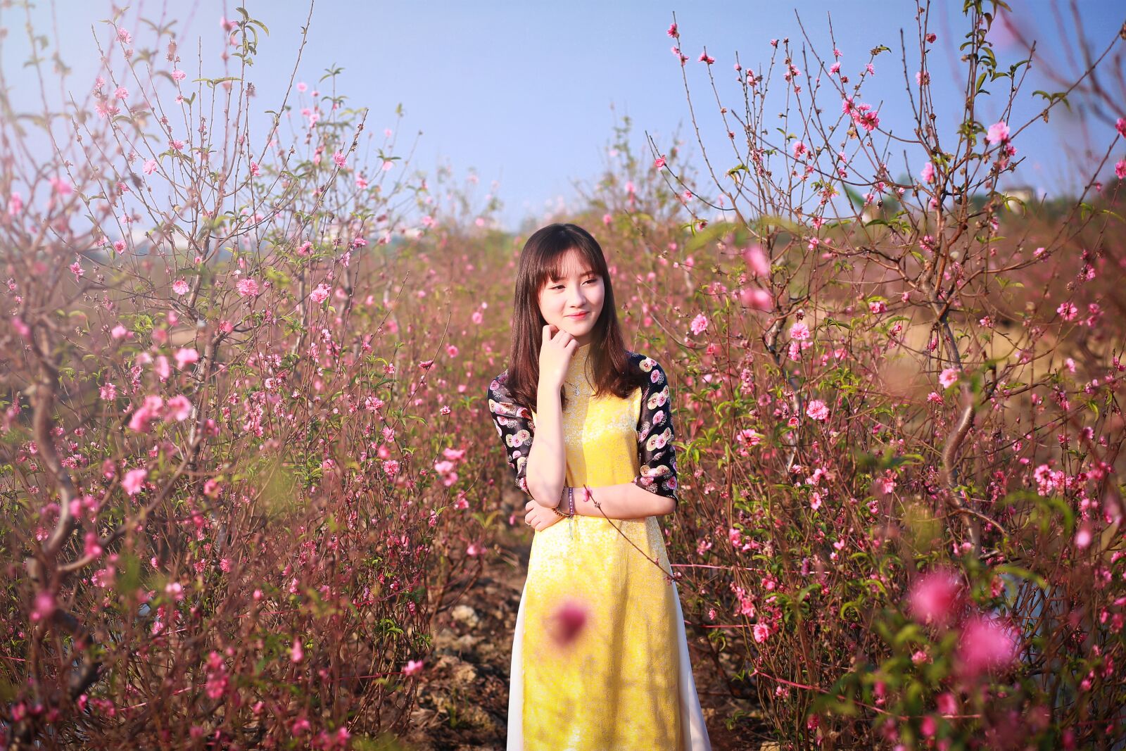 Canon EF 85mm F1.8 USM sample photo. Flower, nature, tree photography
