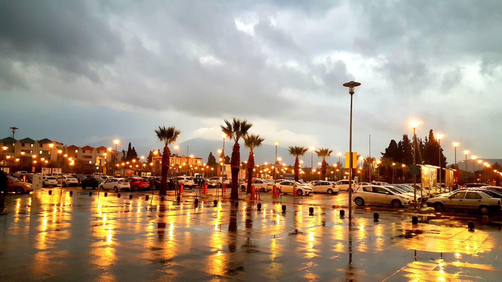 Samsung Galaxy S6 sample photo. Citylights, palm, trees, rainy photography