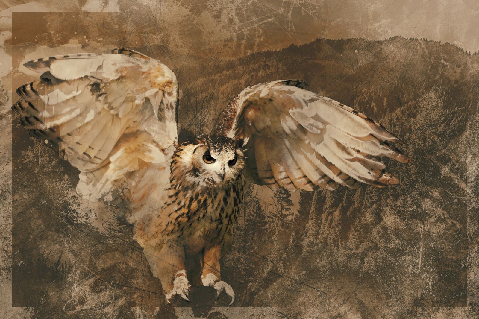 Nikon D7000 sample photo. Owl, wildlife, bird photography