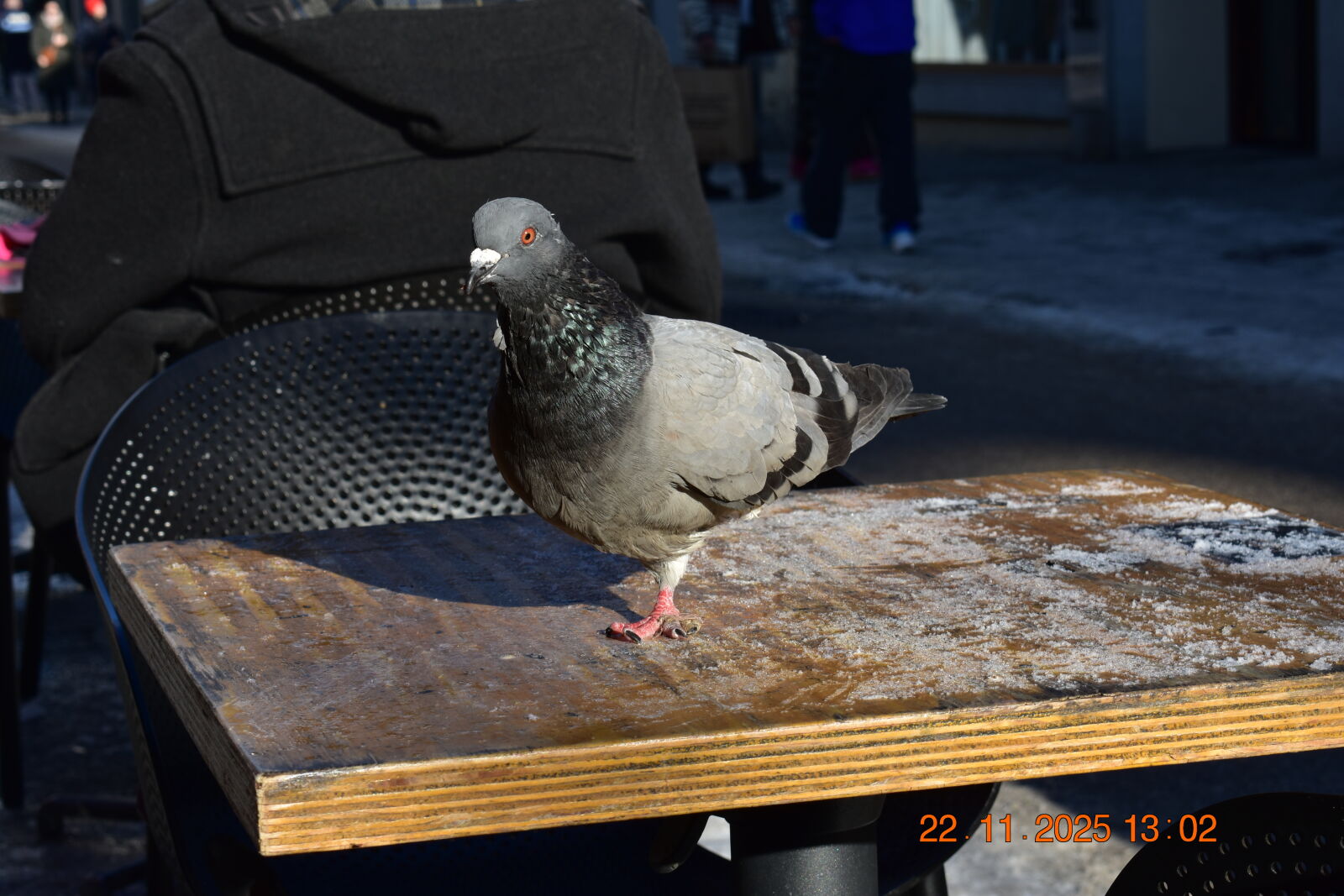 Nikon D3400 sample photo