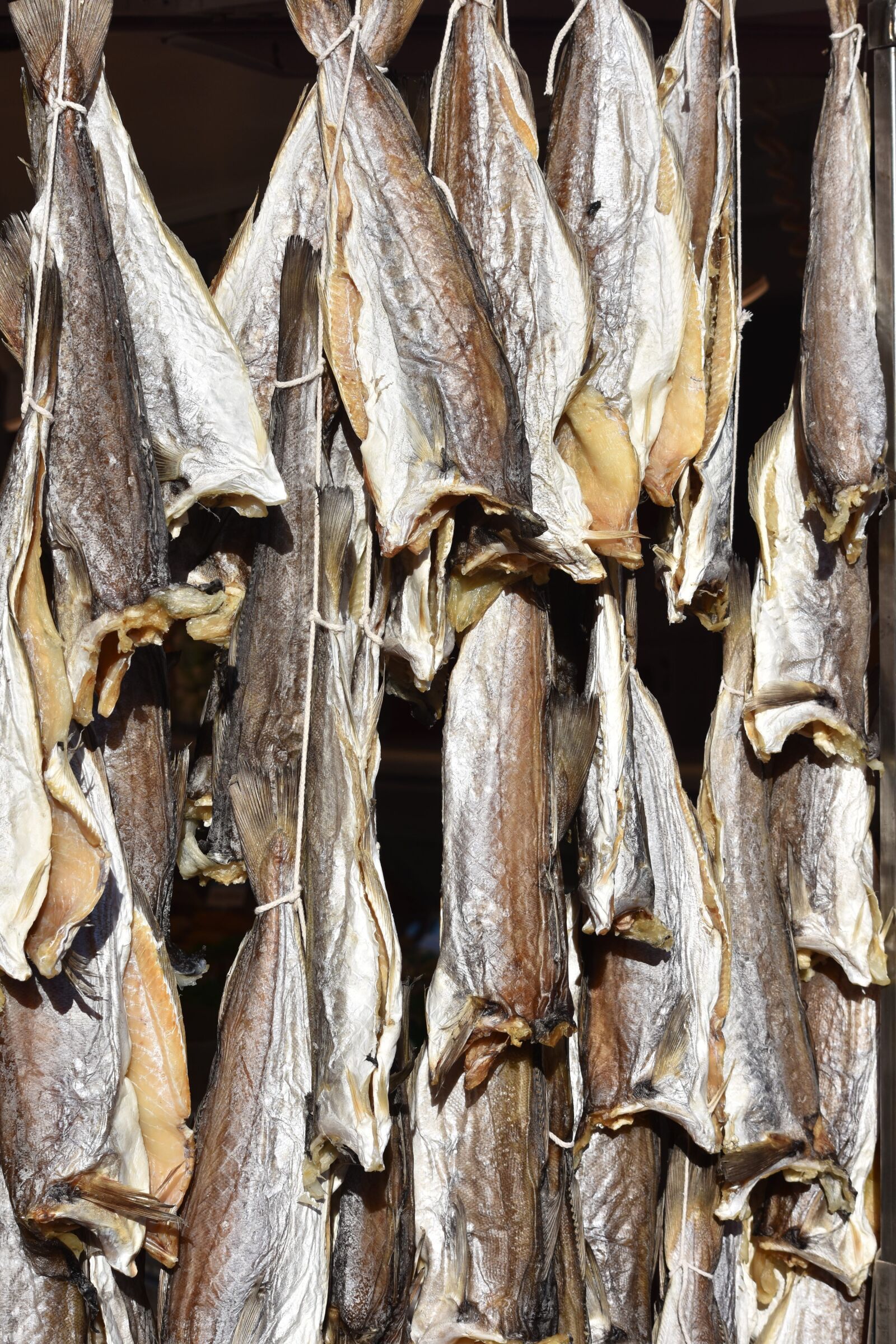 Nikon D7200 sample photo. Fish, whiting, dried fish photography
