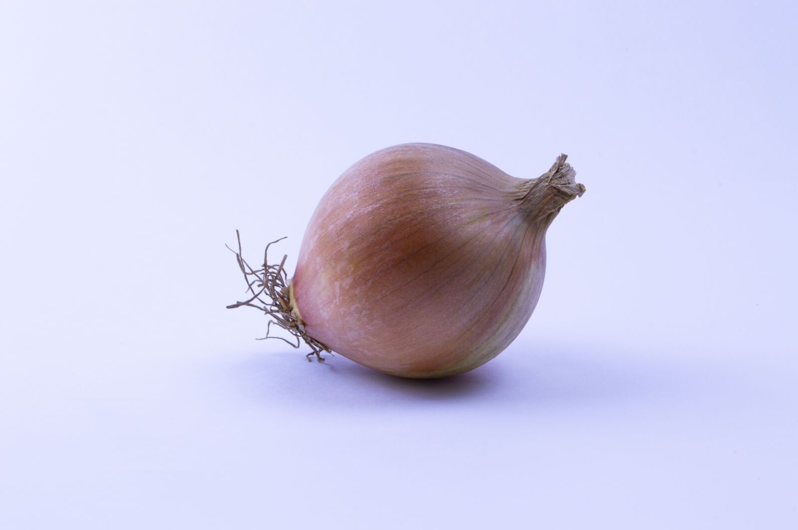 Nikon D3200 sample photo. Background, brown, bulb photography