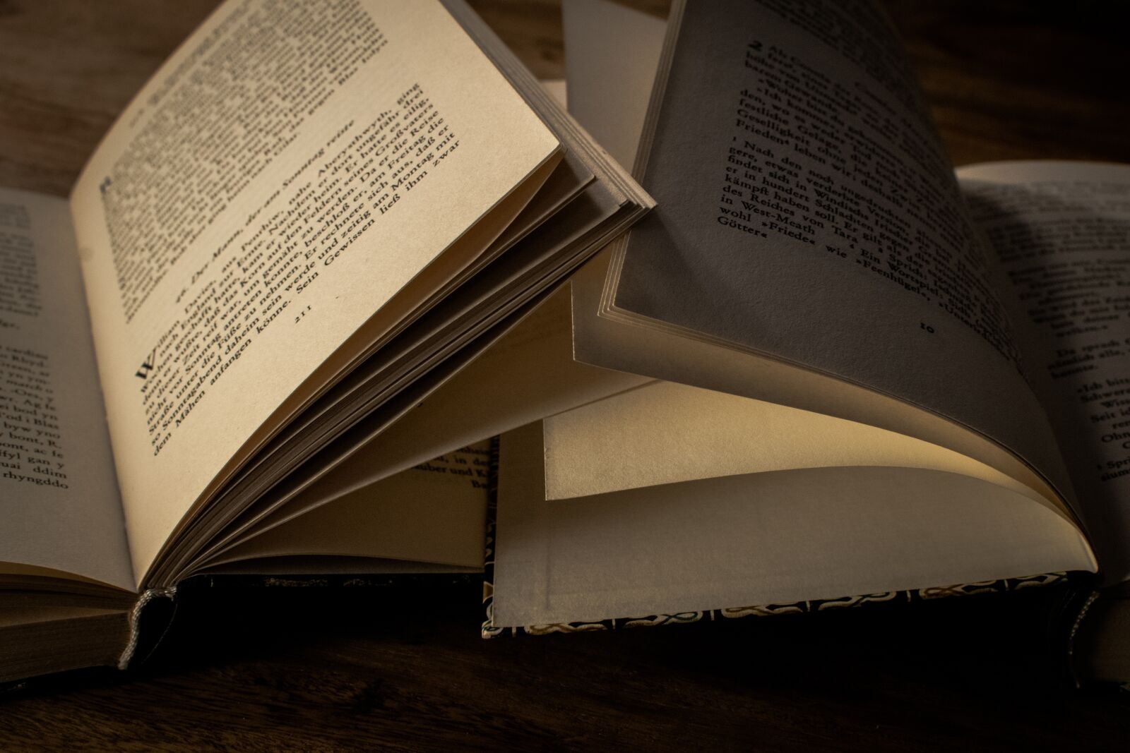 Nikon D3300 sample photo. Literature, book, library photography