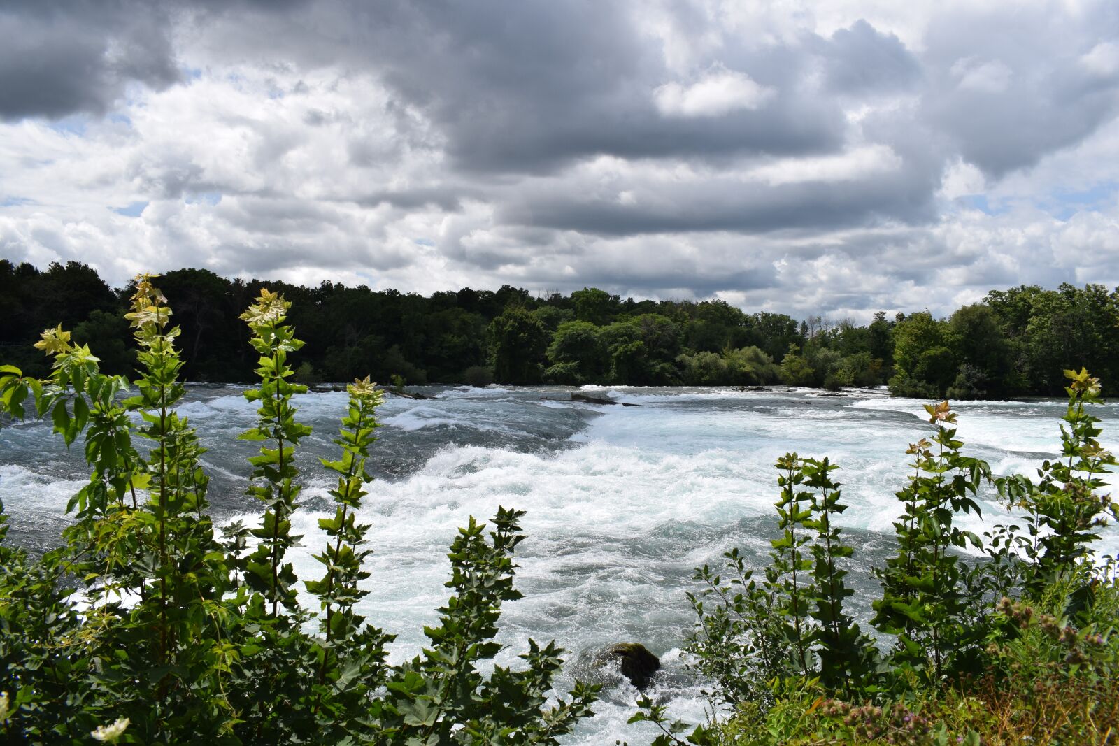 Nikon D3300 sample photo. River, niagra river, white photography