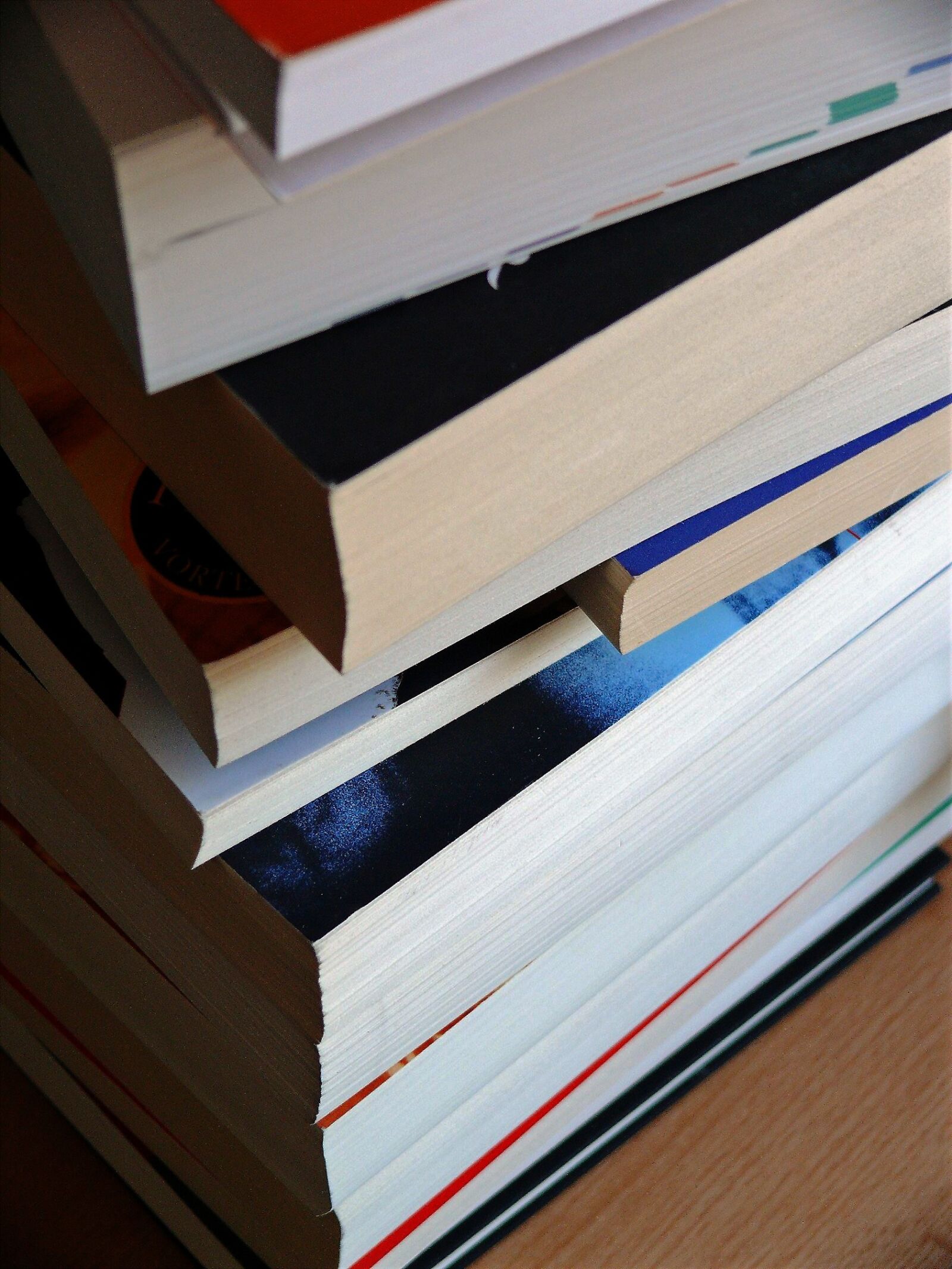 Leica V-LUX 1 sample photo. Book, book associations, books photography